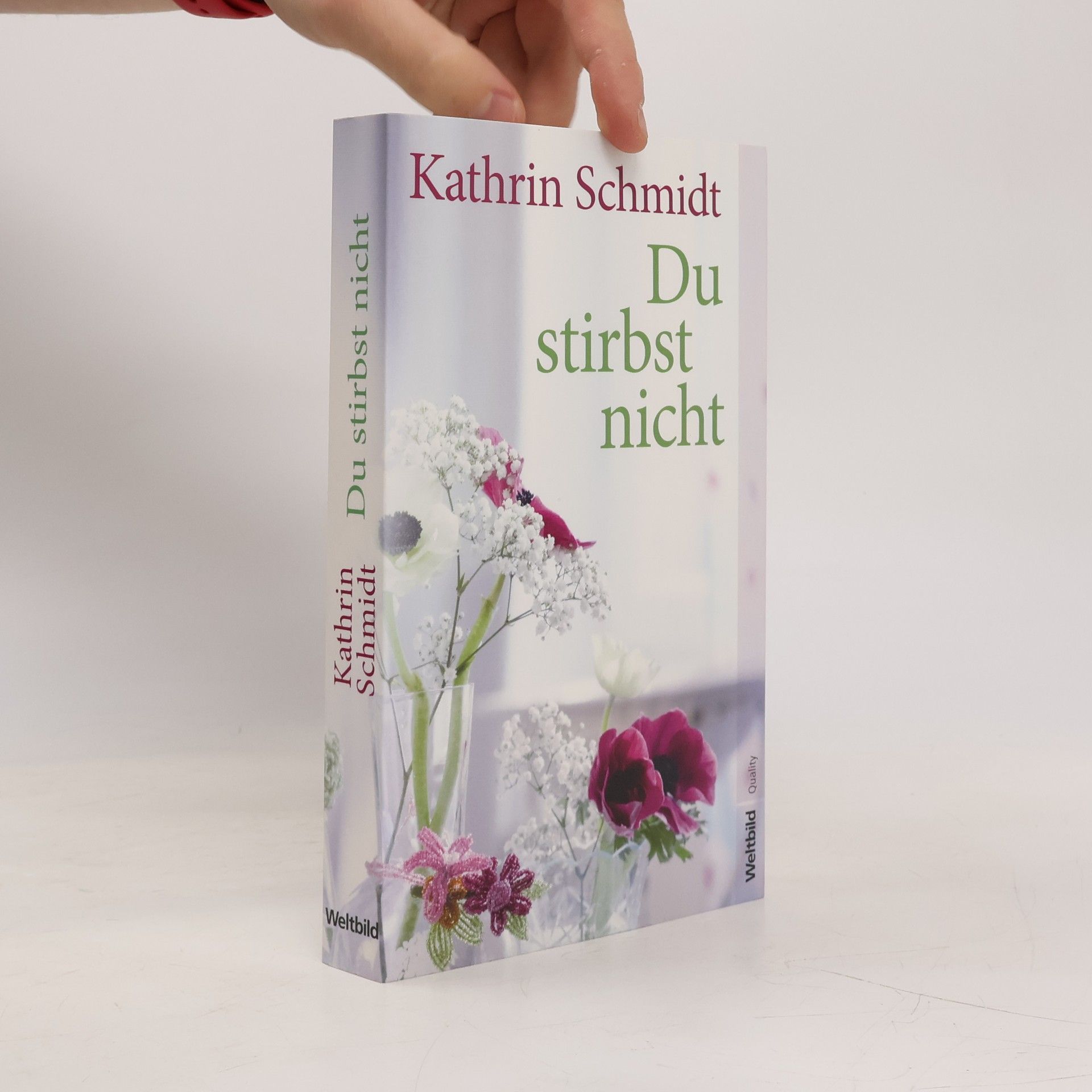 Kathrin Schmidt Du stirbst nicht
