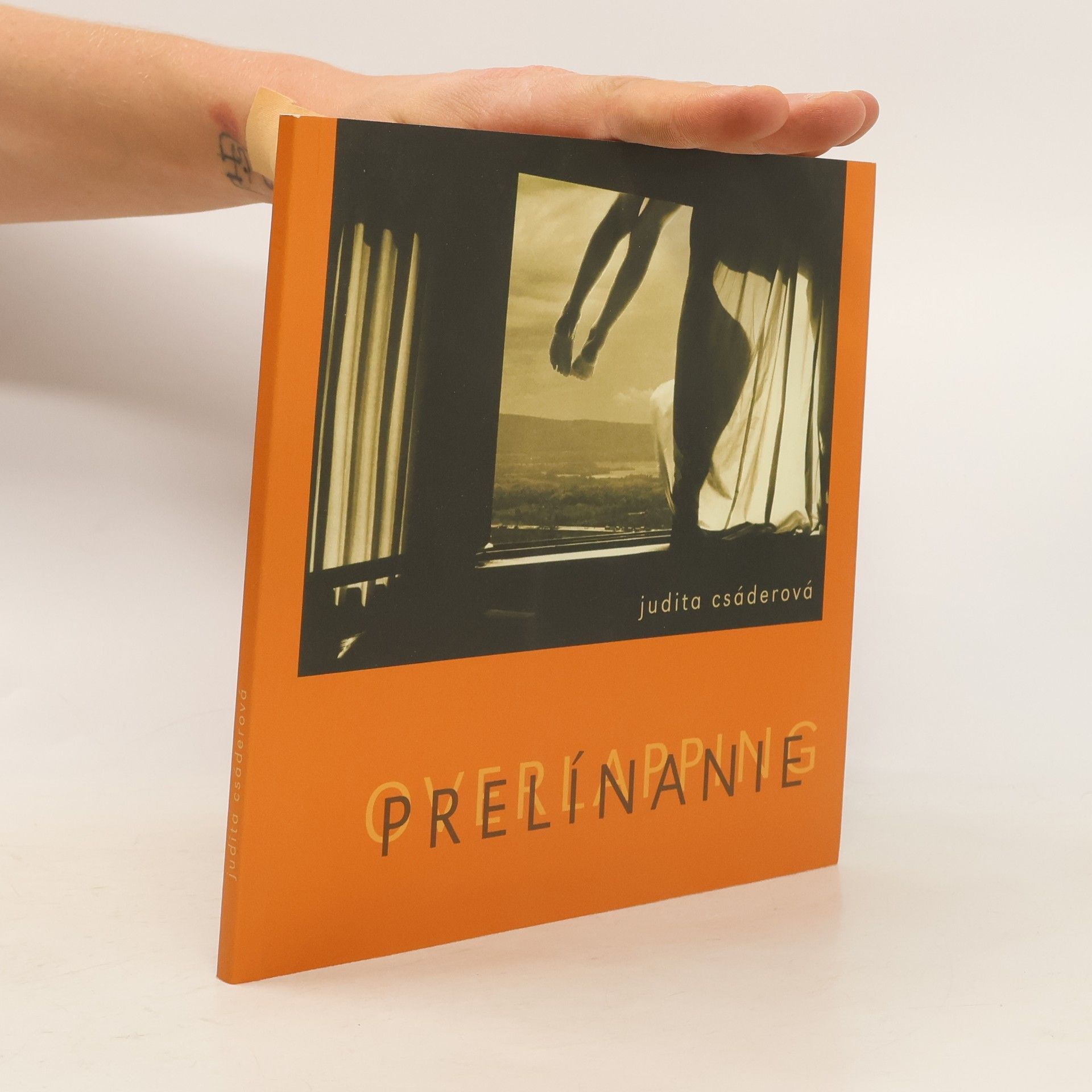 Lucia Benická Prelínanie = Overlapping