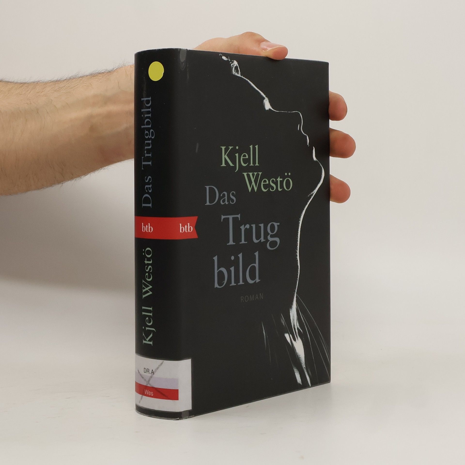 Kjell Westö Das Trug bild