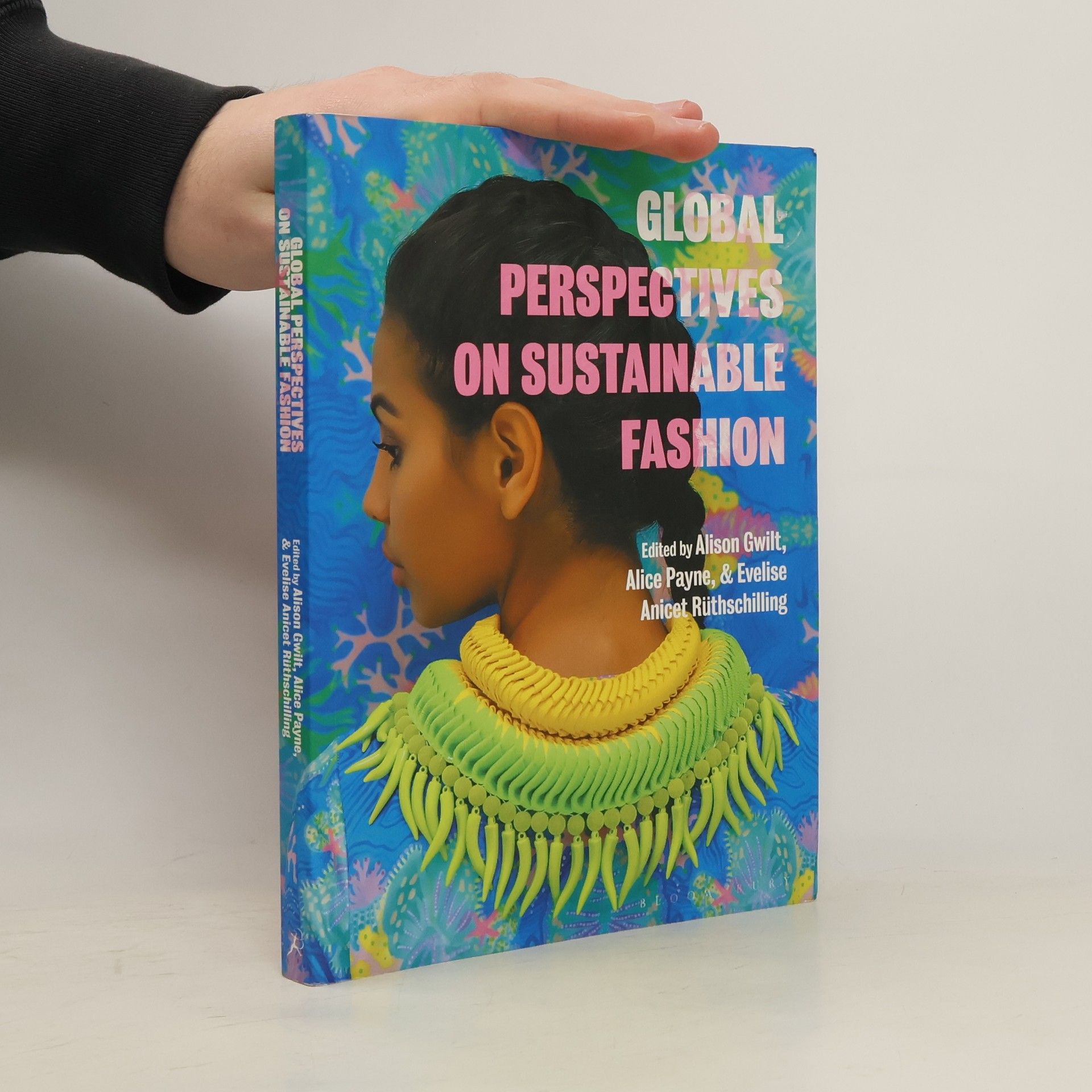 Alison Gwilt Global Perspectives on Sustainable Fashion