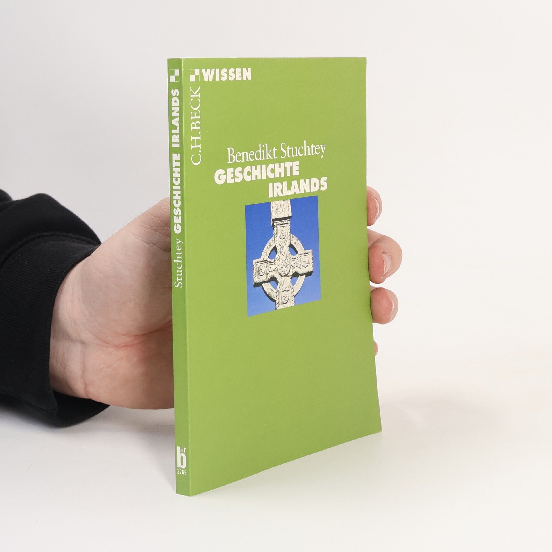 Benedikt Stuchtey Geschichte Irlands
