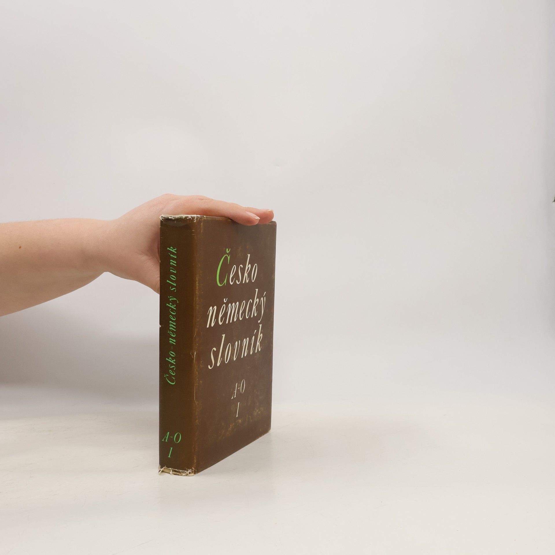 Collectif d'auteurs Česko-německý slovník I. A-O
