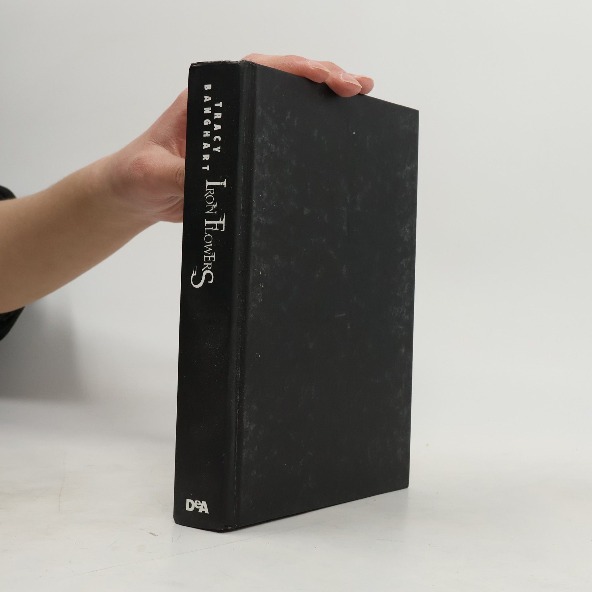 Tracy Banghart Iron Flowers