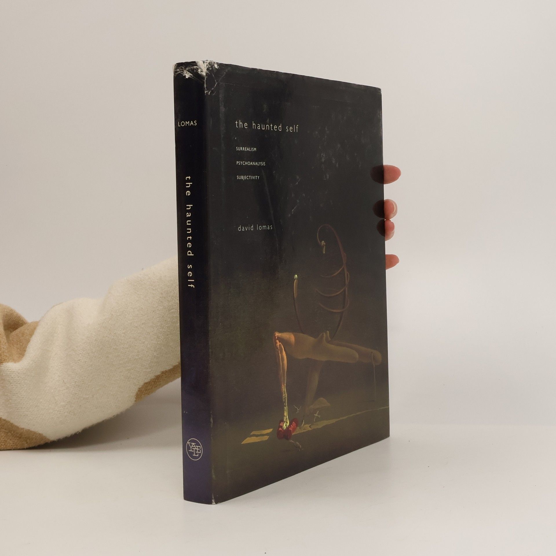 David Lomas The Haunted Self