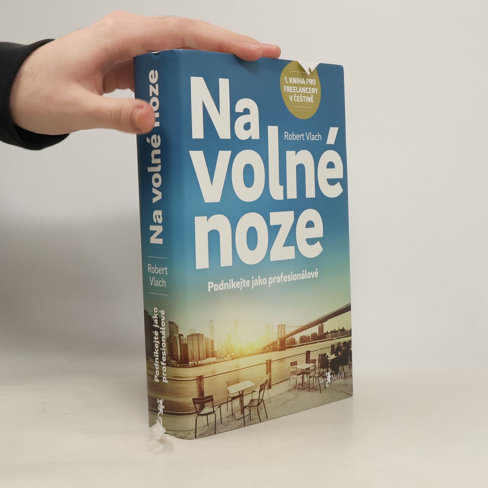 Robert Vlach (podnikatel) Na volné noze