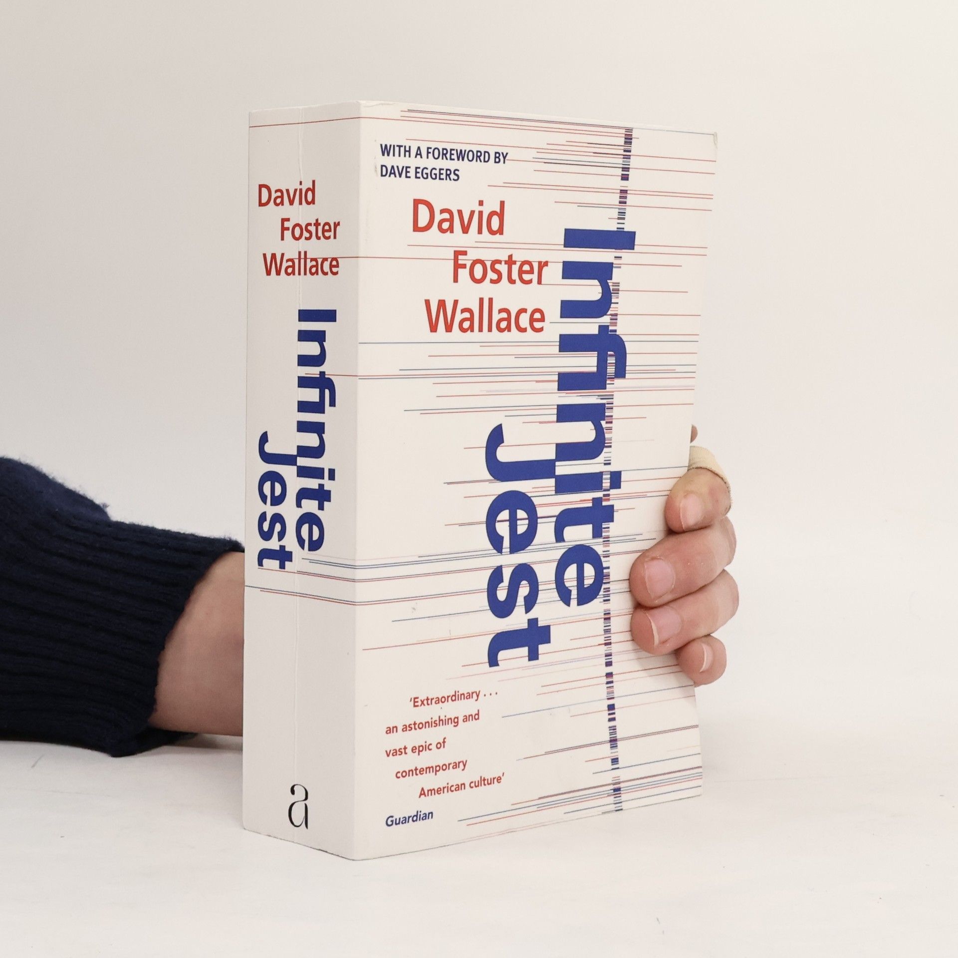 David Foster Wallace Infinite Jest