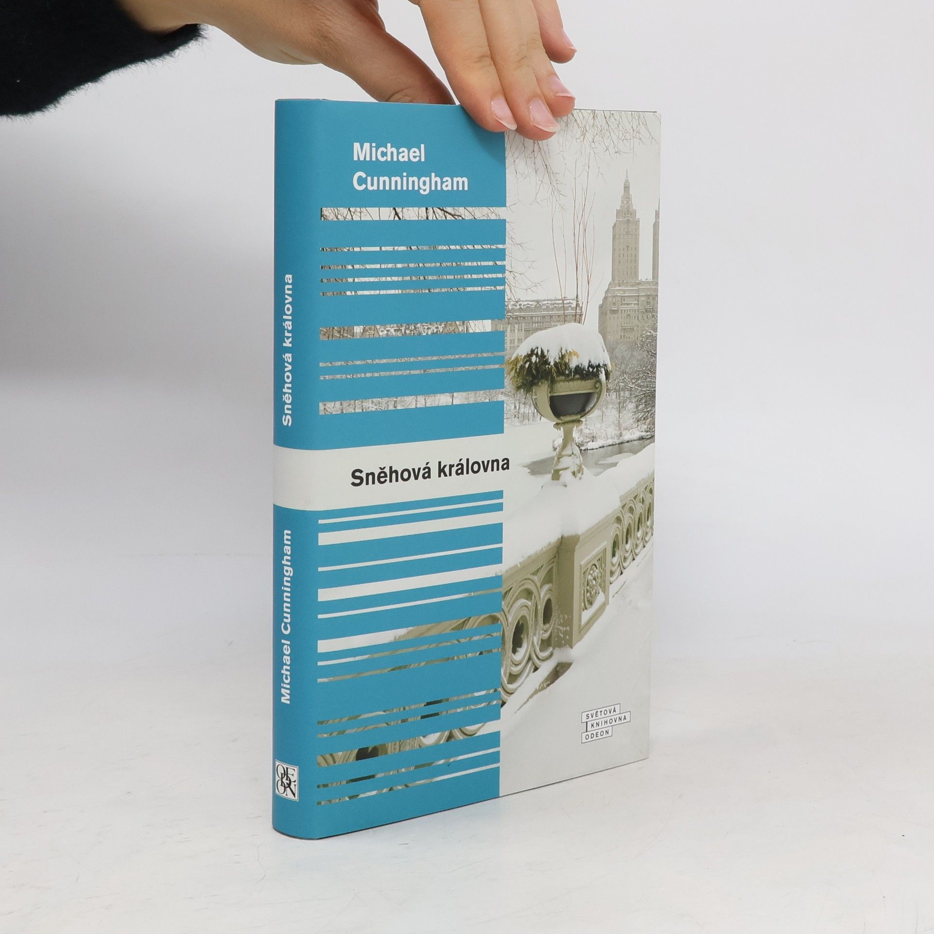 Michael Cunningham Sněhová královna