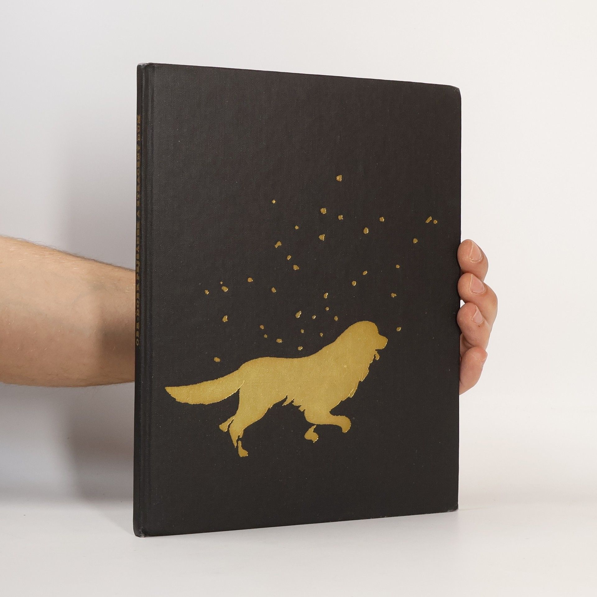 Milena Lukešová Obr-dobr Pejsánek a ztracený dům