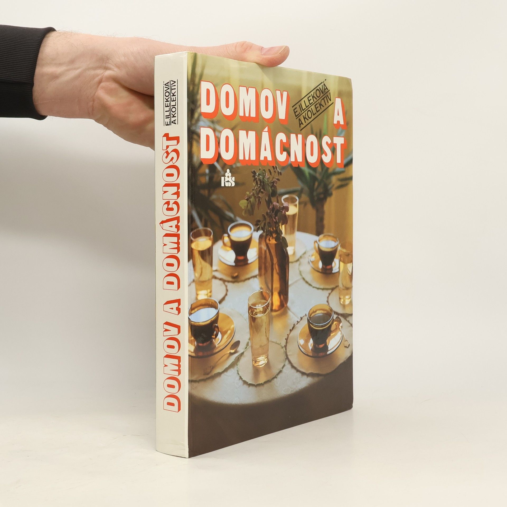 Emília Illeková Domov a domácnost