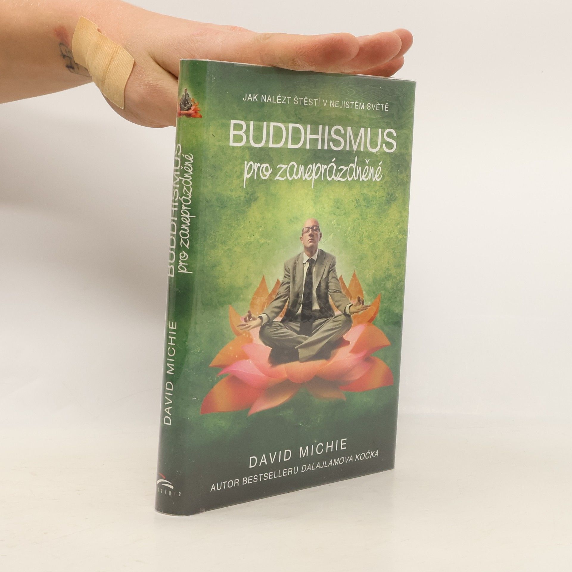David Michie Buddhismus pro zaneprázdněné