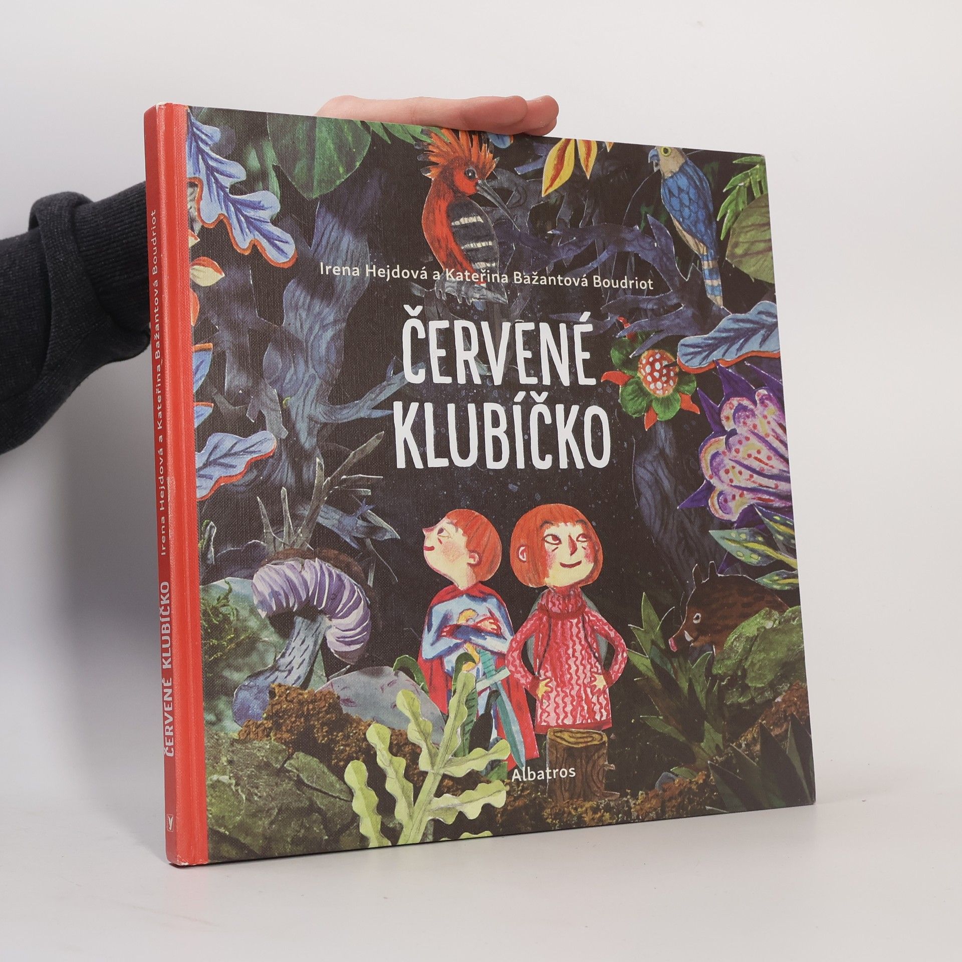 Irena Hejdová Červené klubíčko