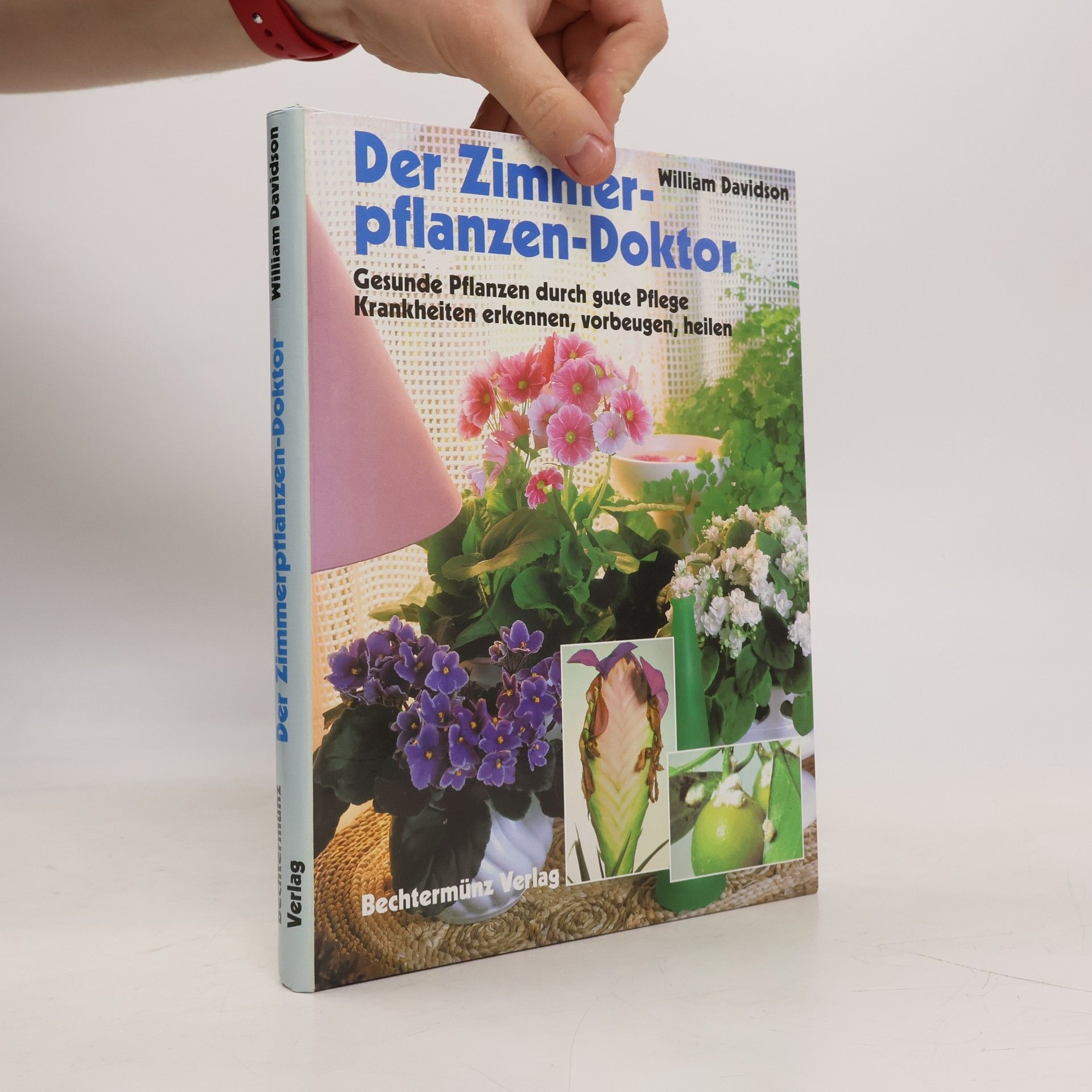 William Davidson Der Zimmerpflanzen-Doktor