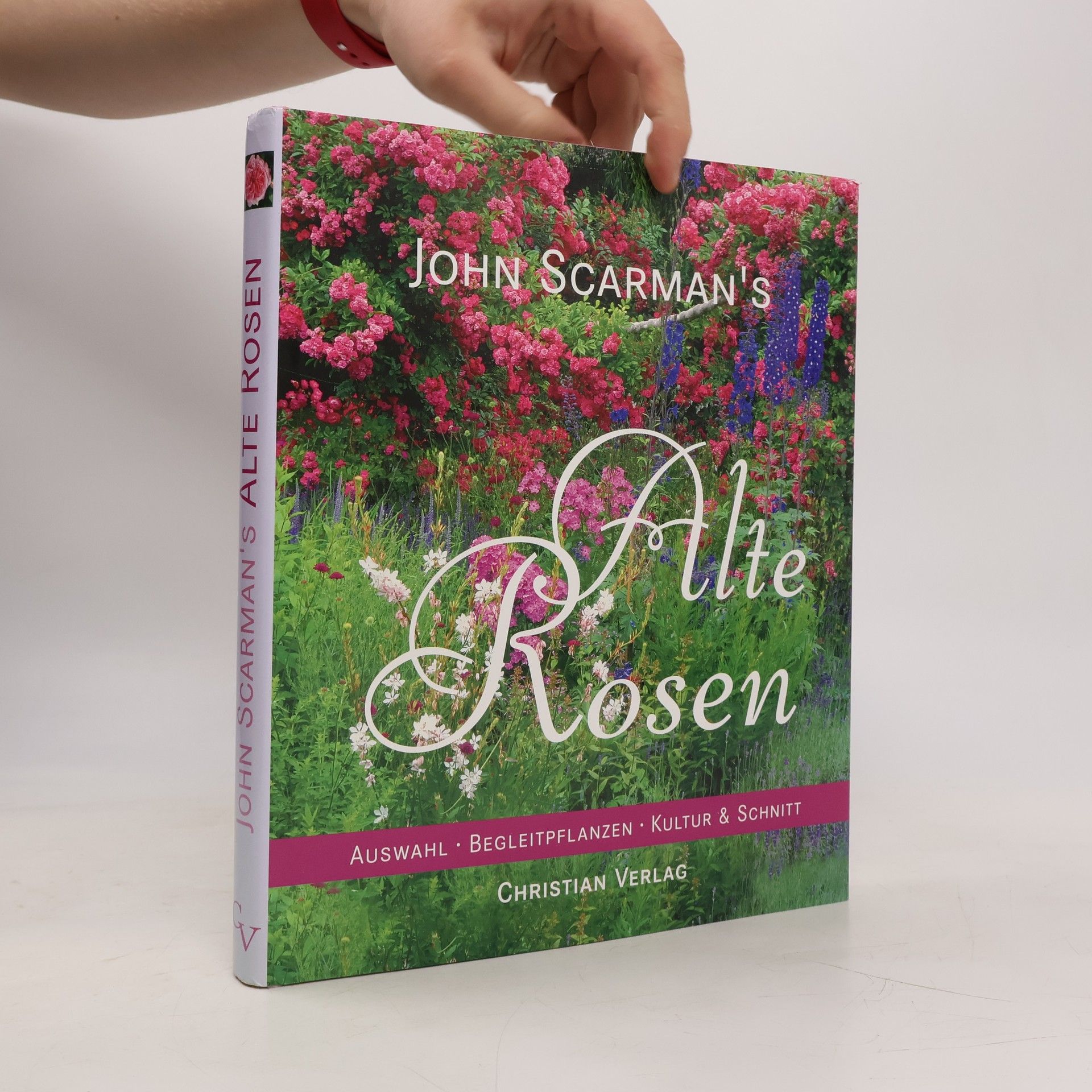 John S. Carman John Scarman's alte Rosen