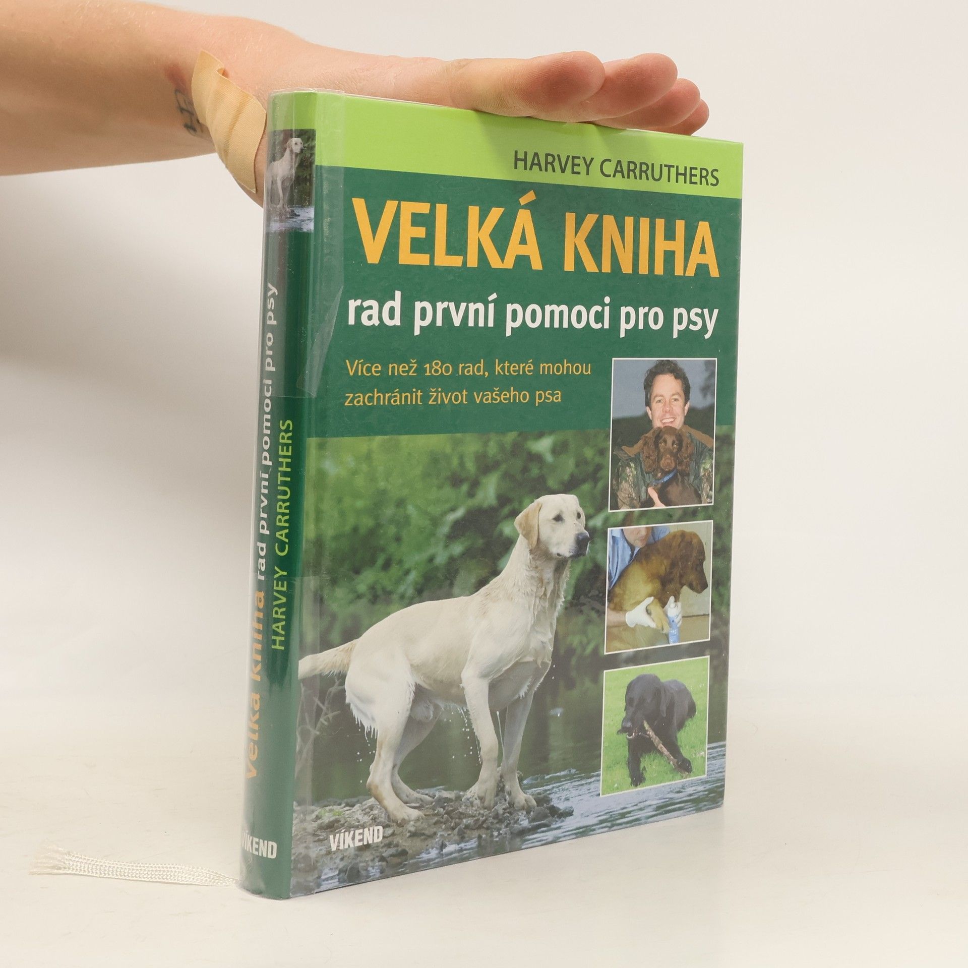 Harvey Carruthers Velká kniha rad první pomoci pro psy