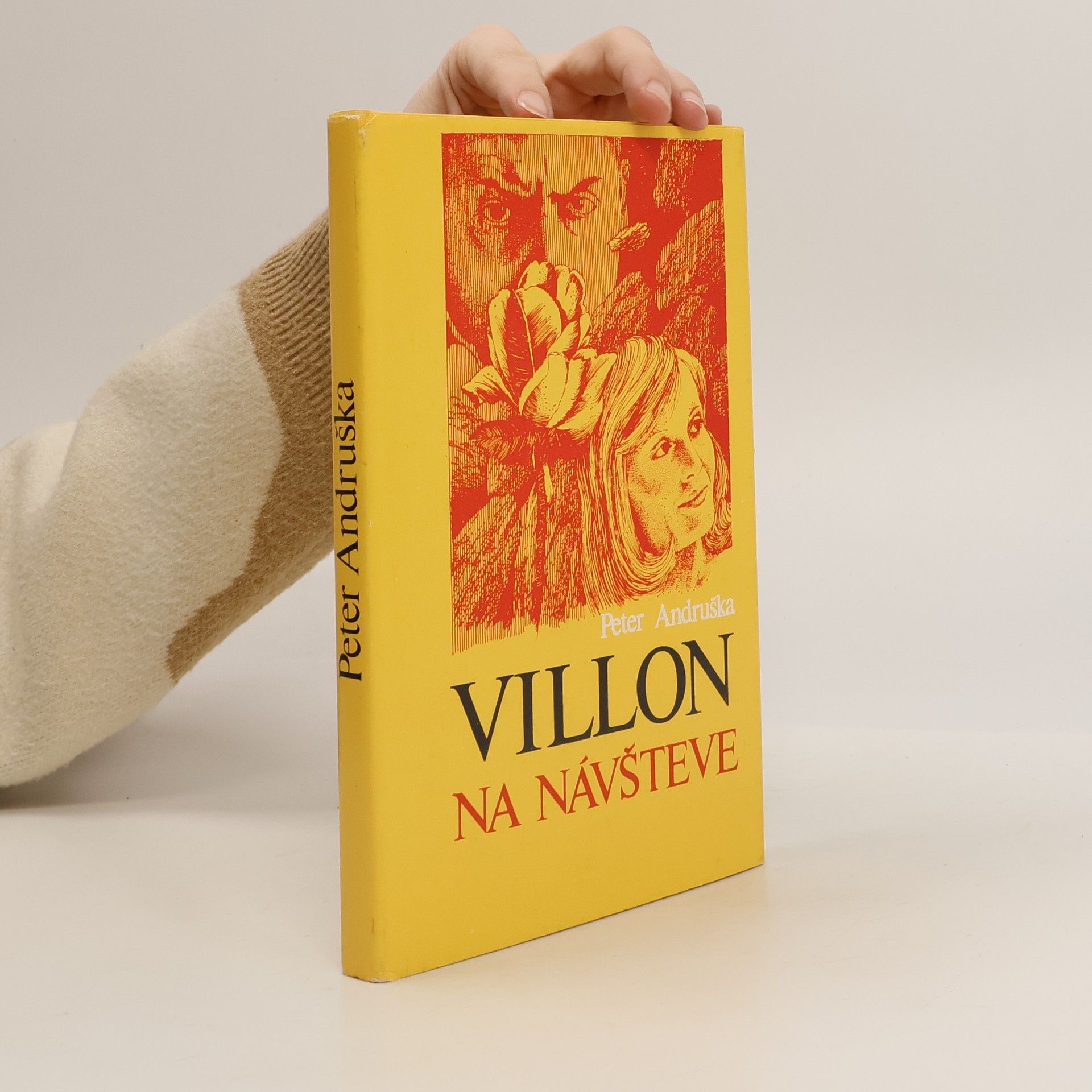 Peter Andruška Villon na návšteve