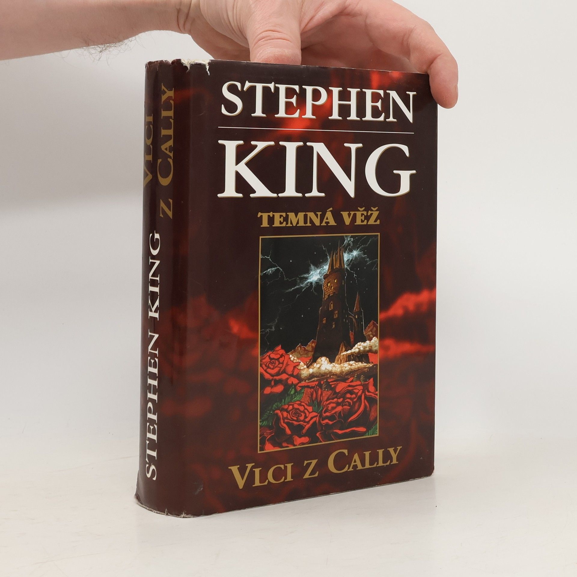 Stephen King Temná věž: Vlci z Cally
