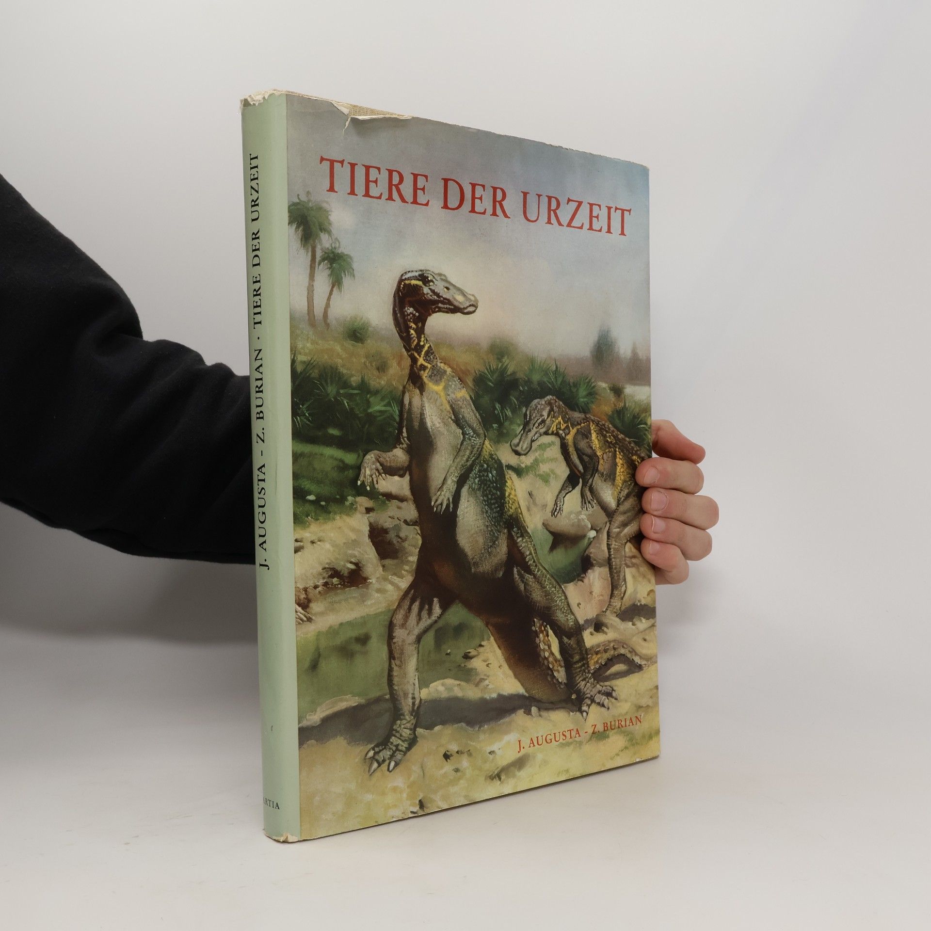 Autores varios Tiere der urzeit