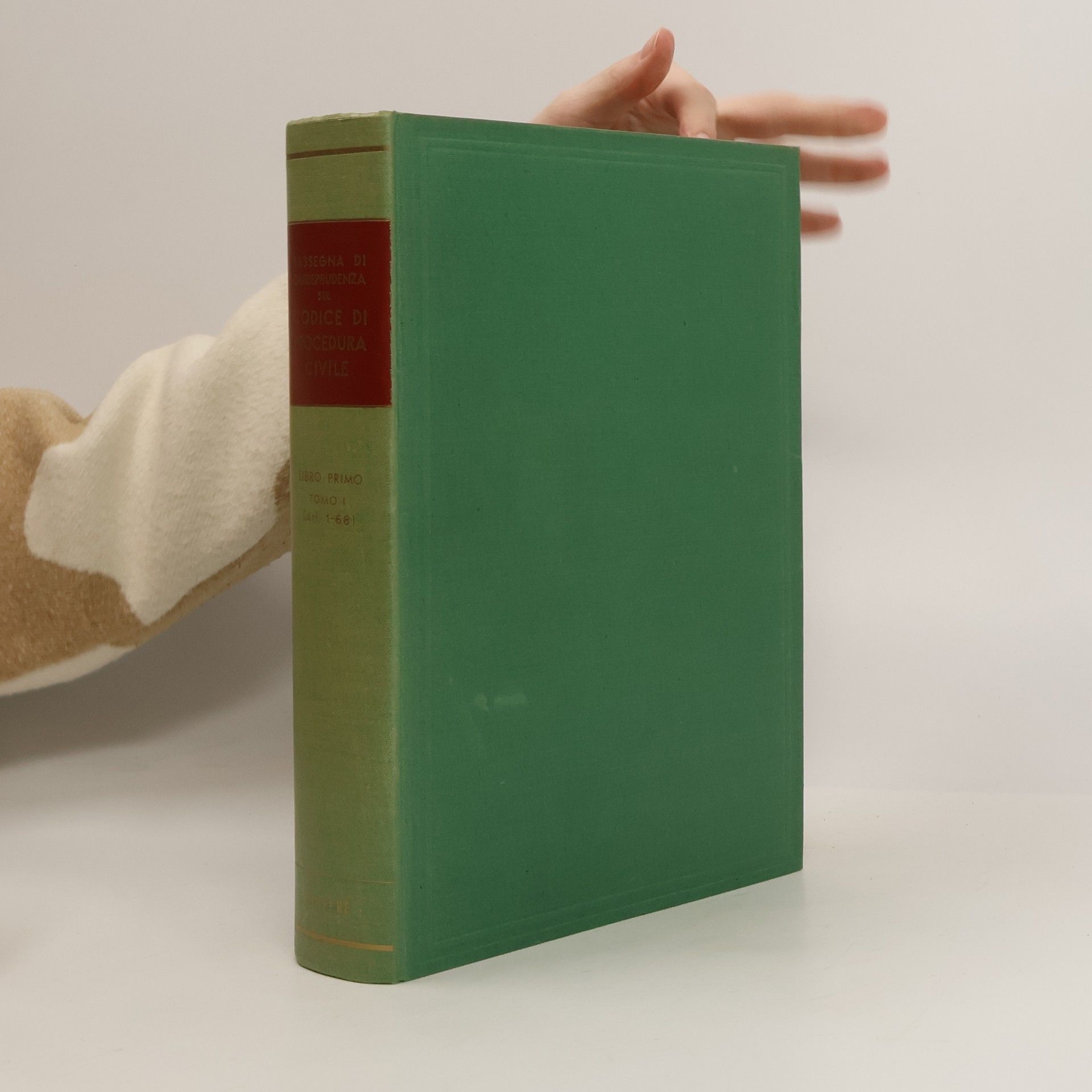 Autorenkollektiv Rassegna di giurisprudenza sul Codice di procedura civile I.