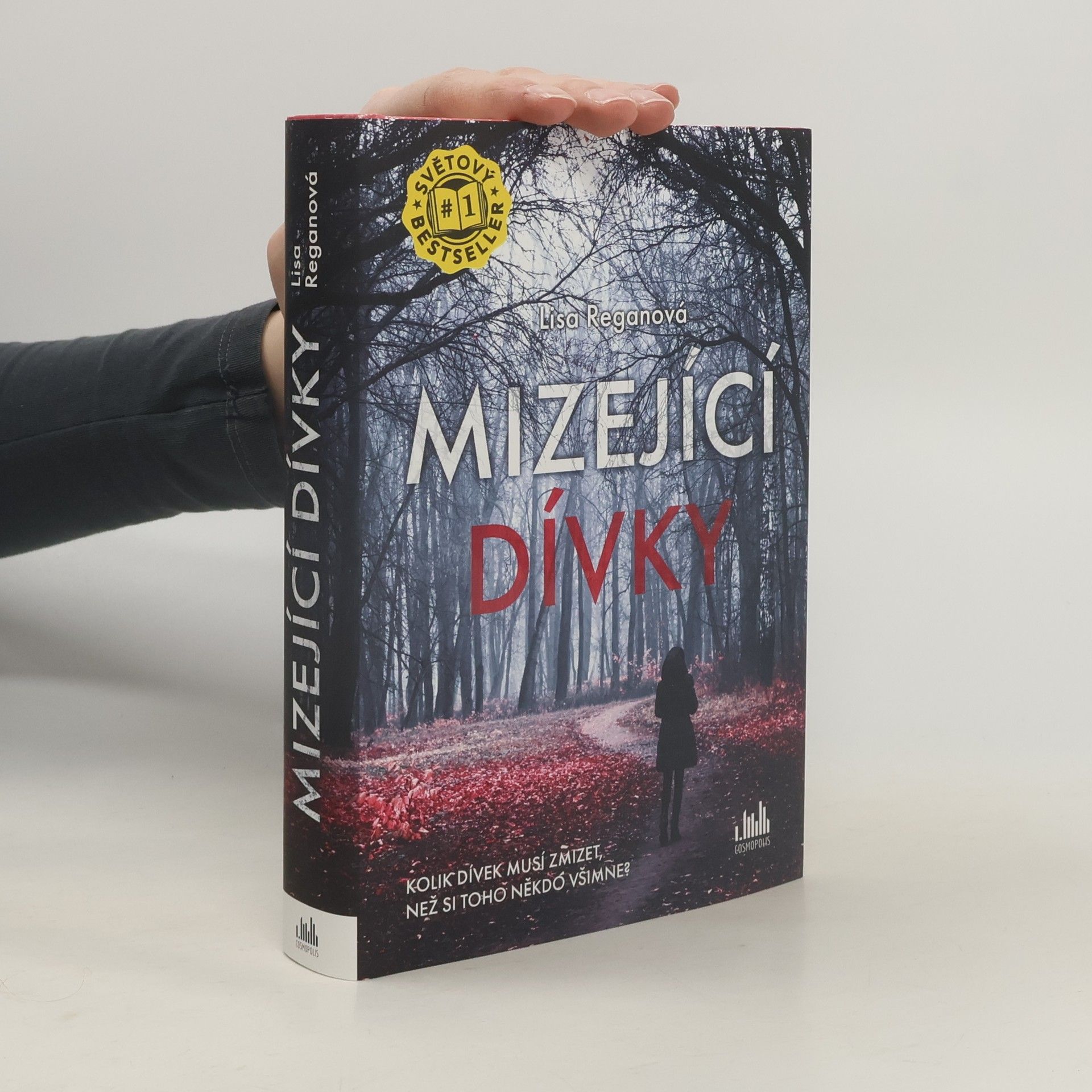 Lisa Regan Mizející dívky