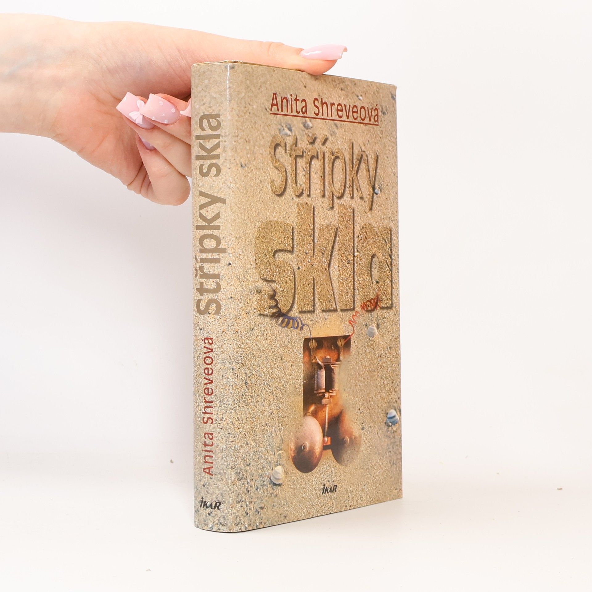 Anita Shreve Střípky skla