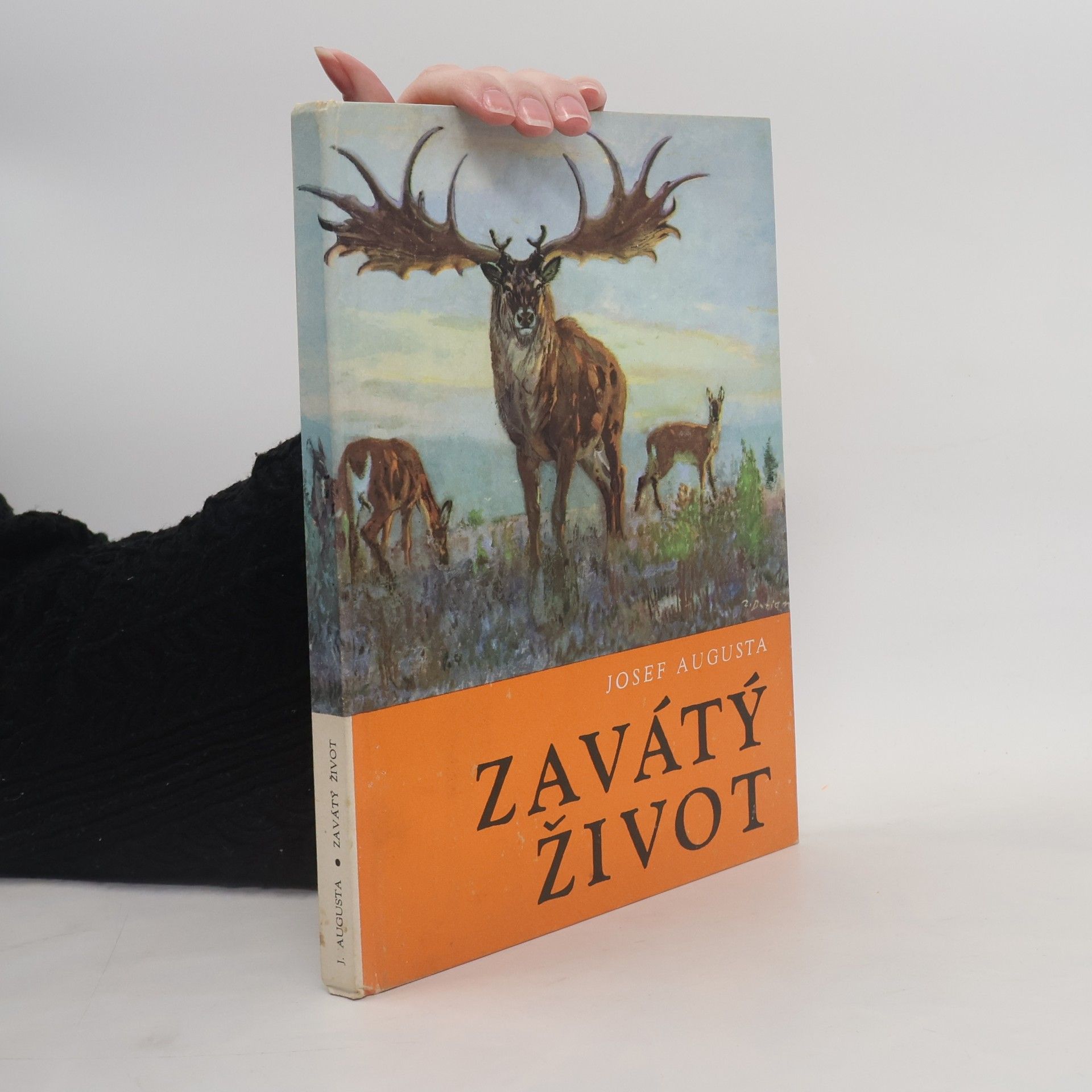 Josef Augusta Zavátý život