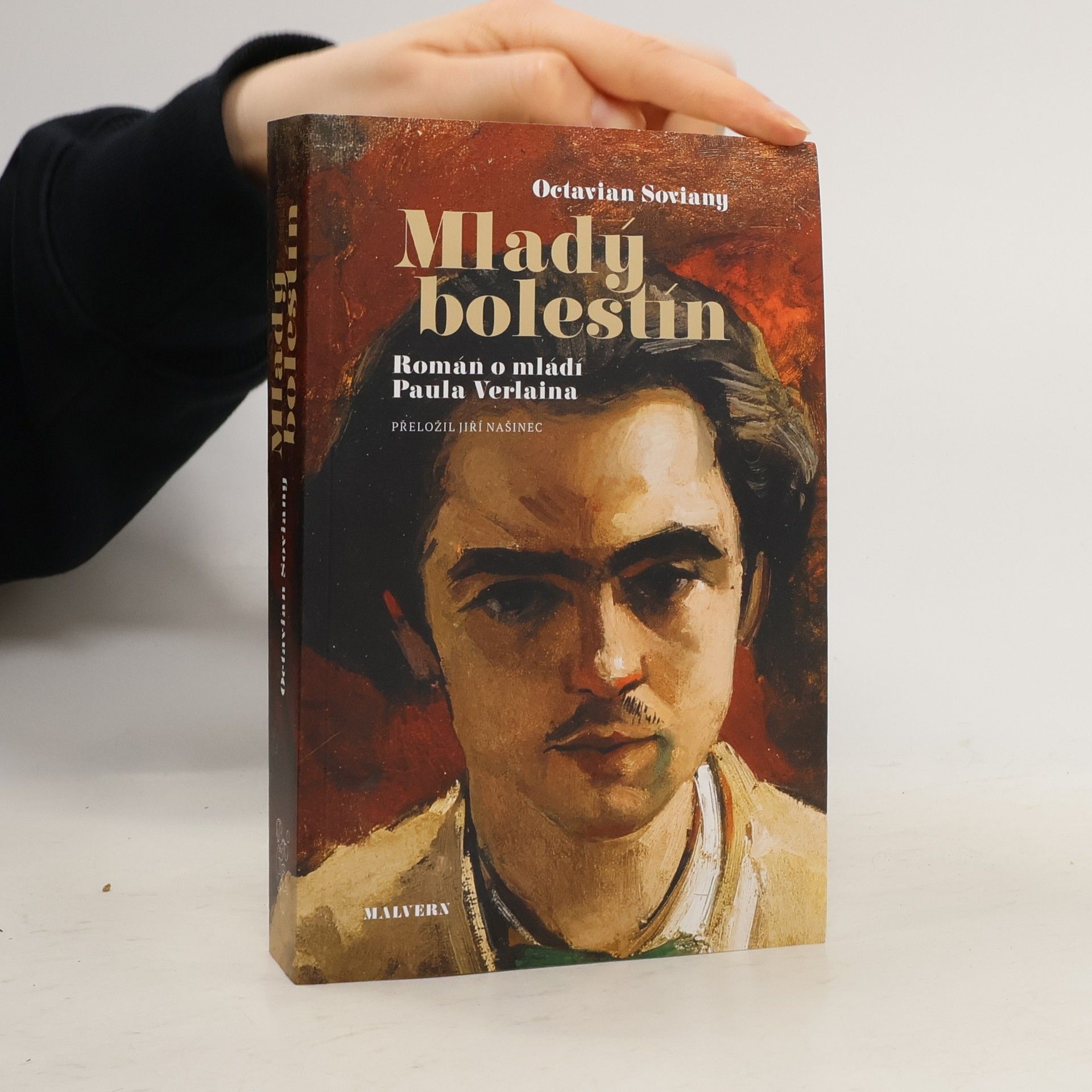 Mladý bolestín: Román o mládí Paula Verlaina