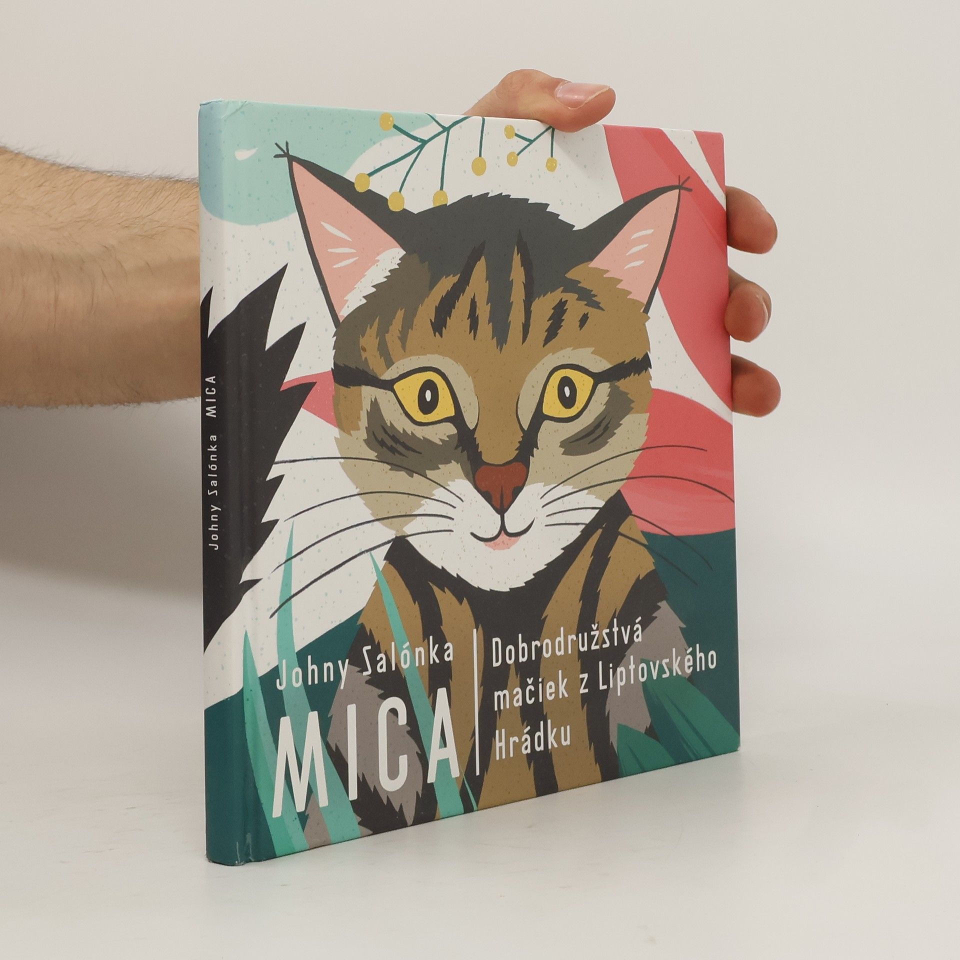 Johny Salónka Mica : Dobrodružstvá mačiek z Liptovského Hrádku