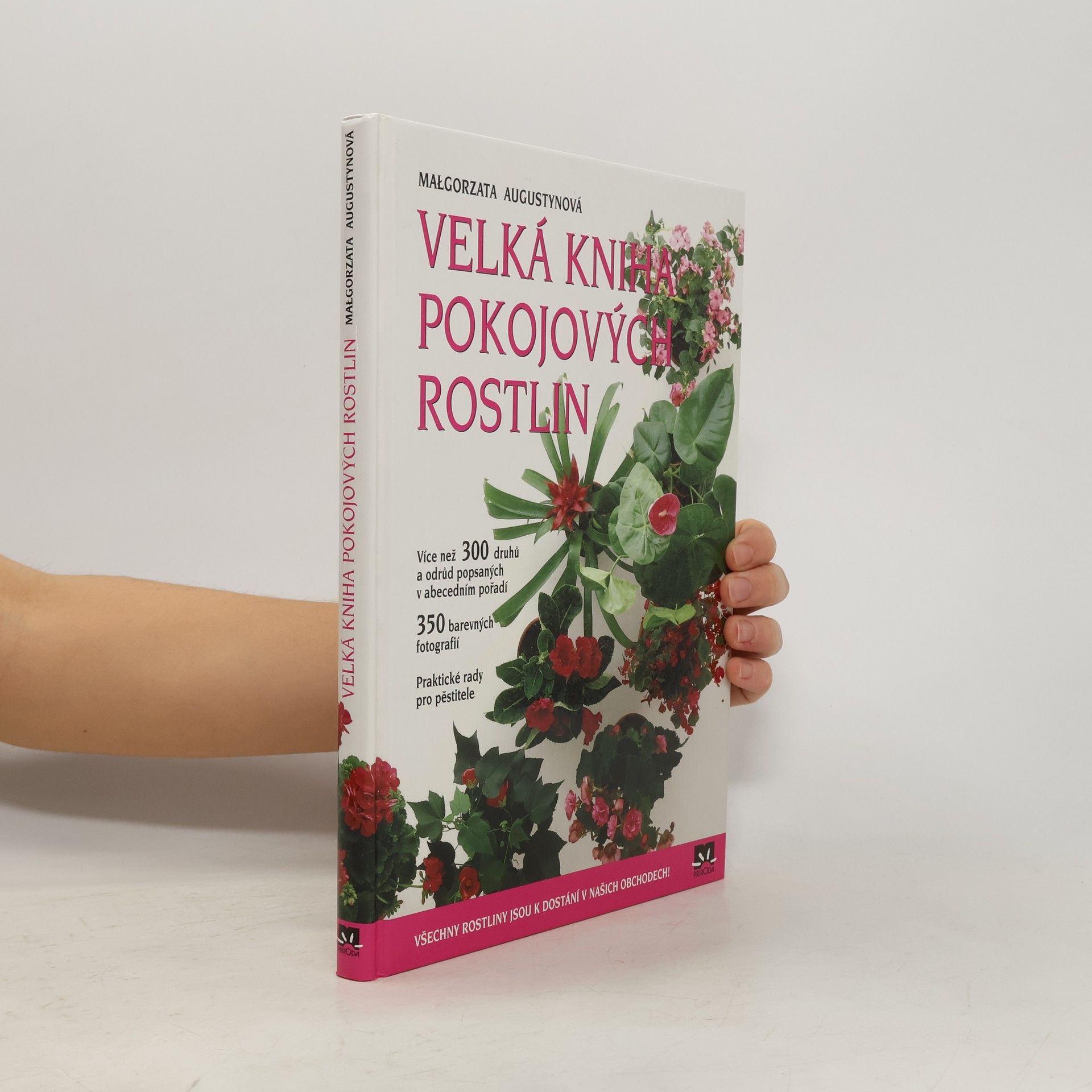 Małgorzata Augustyn Velká kniha pokojových rostlin