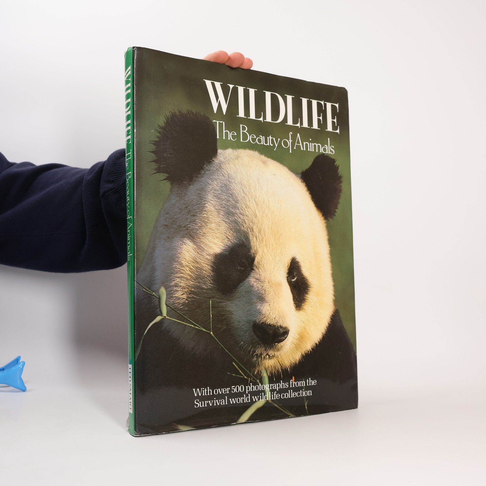 Ted Smart Wildlife The Beauty Of Animals