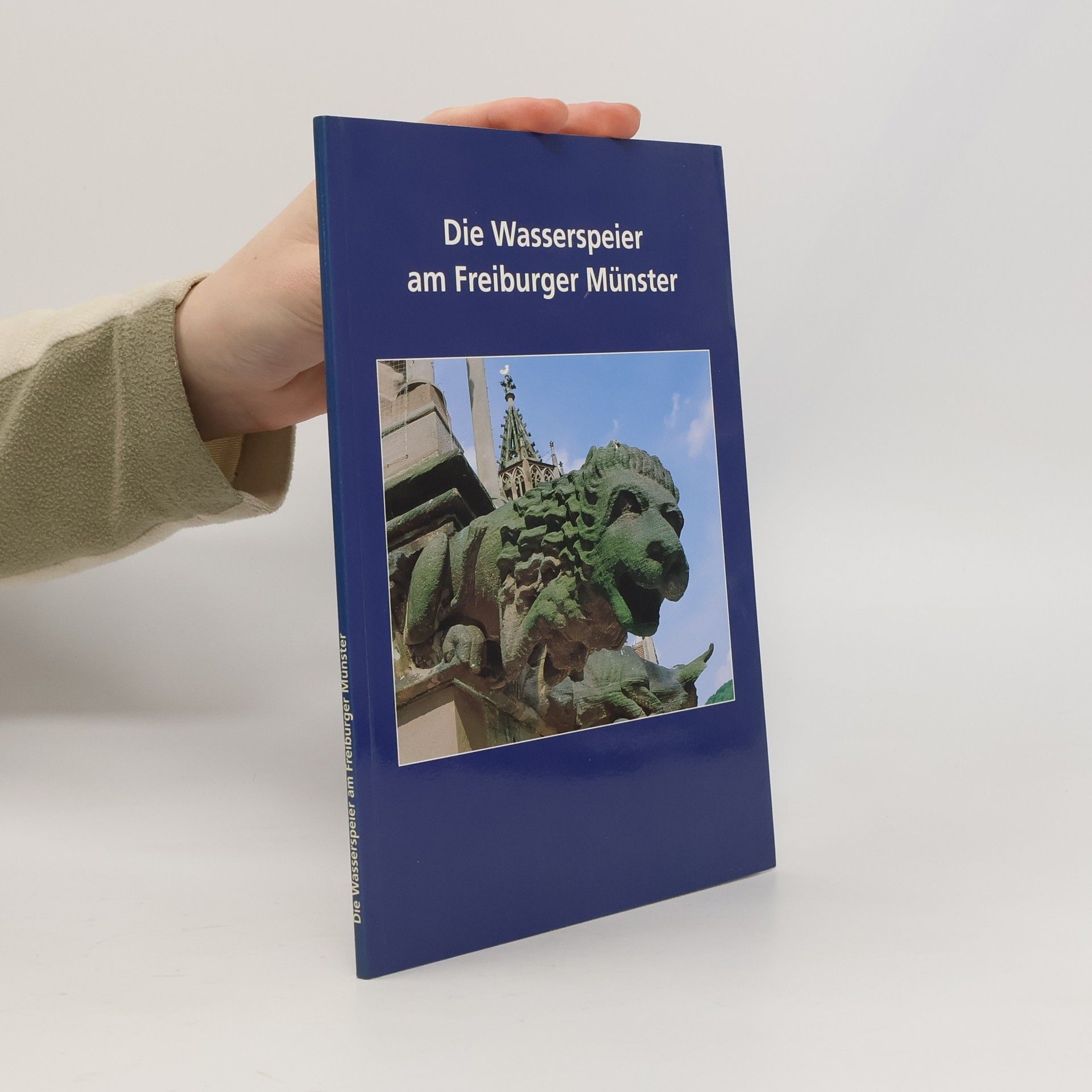 Die Wasserspeier am Freiburger Münster