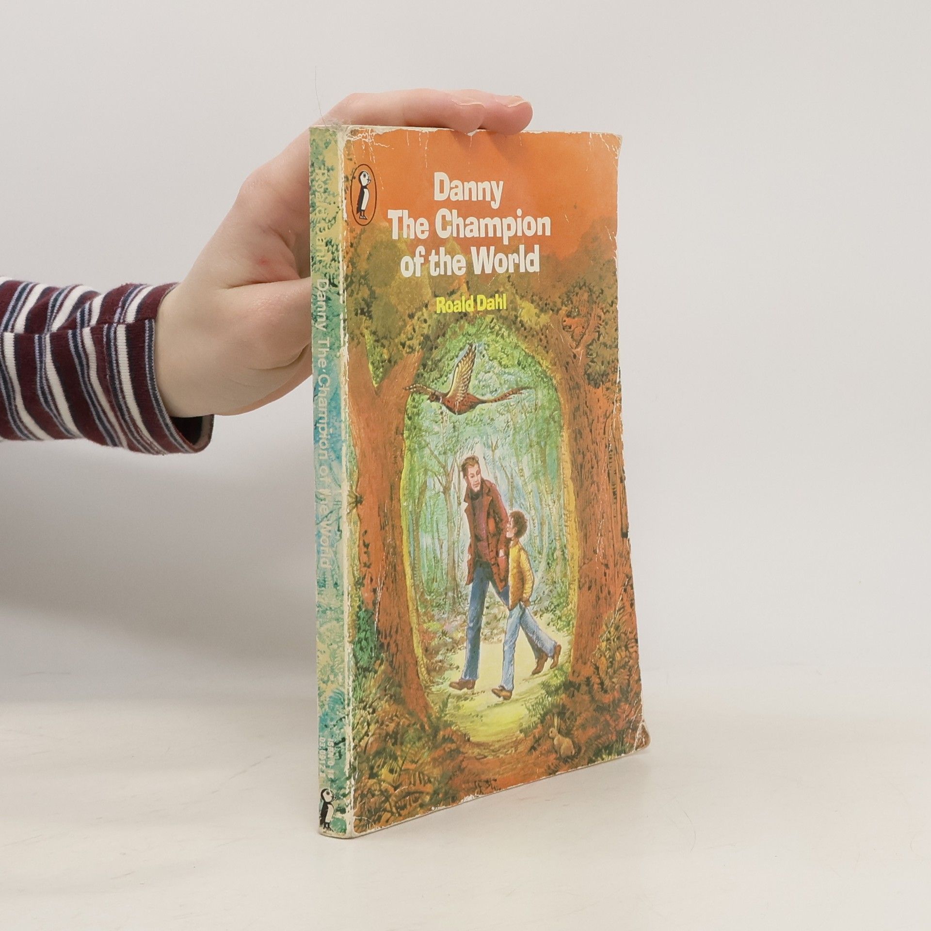 Roald Dahl Danny the Champion of the World