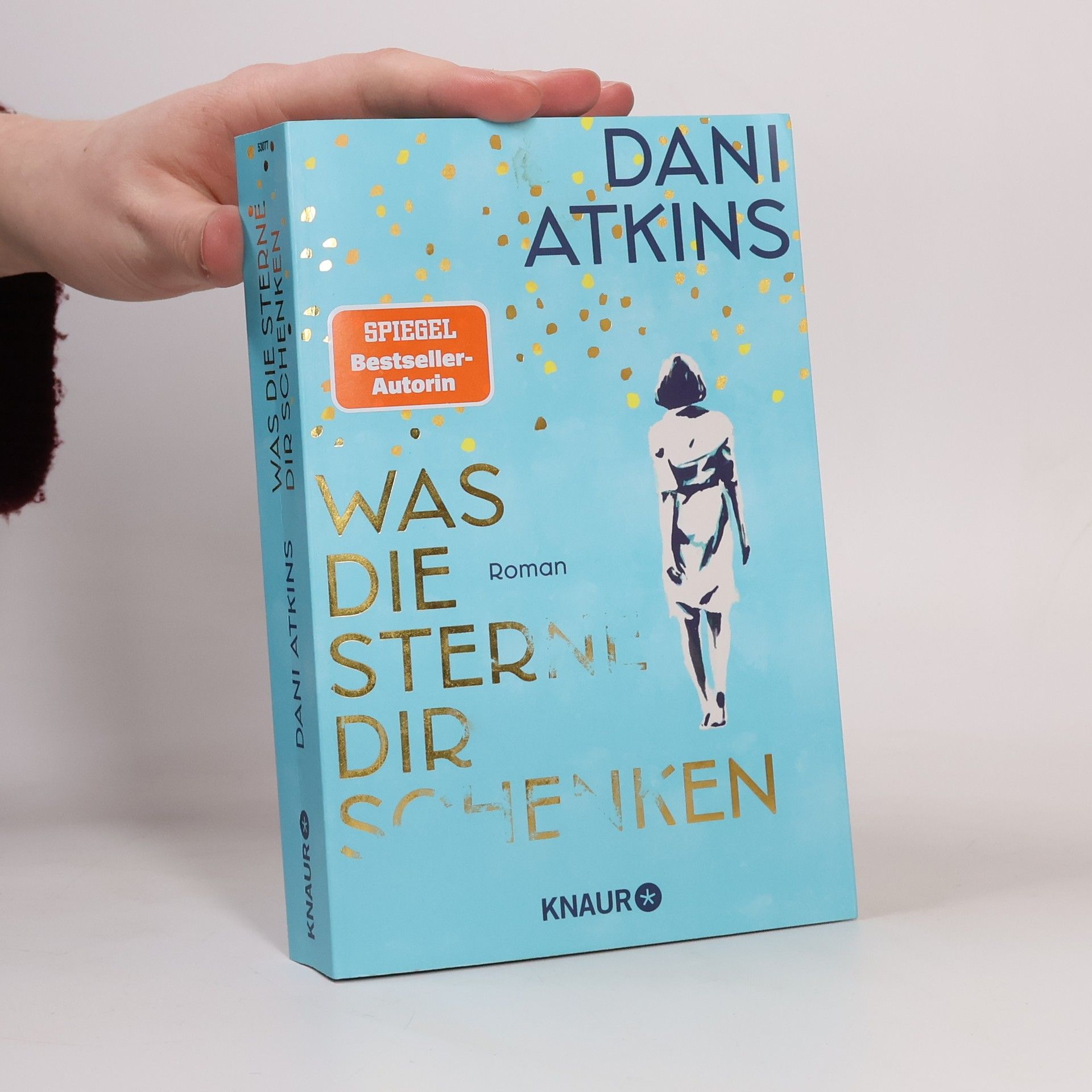 Dani Atkins Was die Sterne dir schenken
