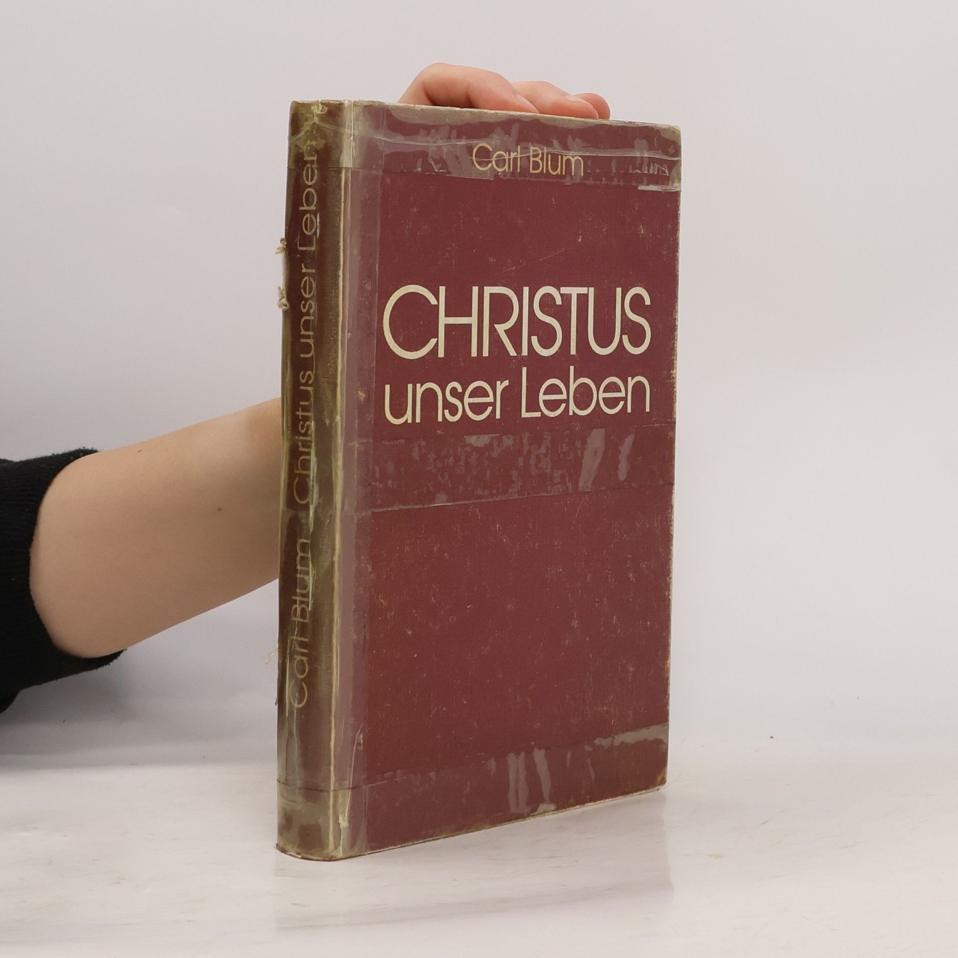 Carl Wilhelm Theodor Blum Christus unser Leben