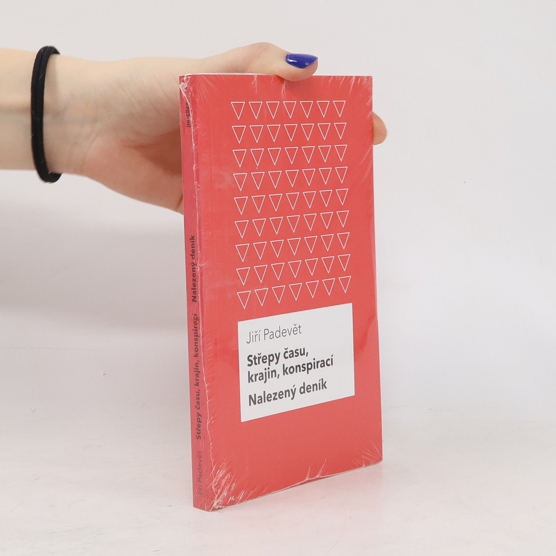 Jiří Padevět Střepy času, krajin, konspirací / Nalezený deník