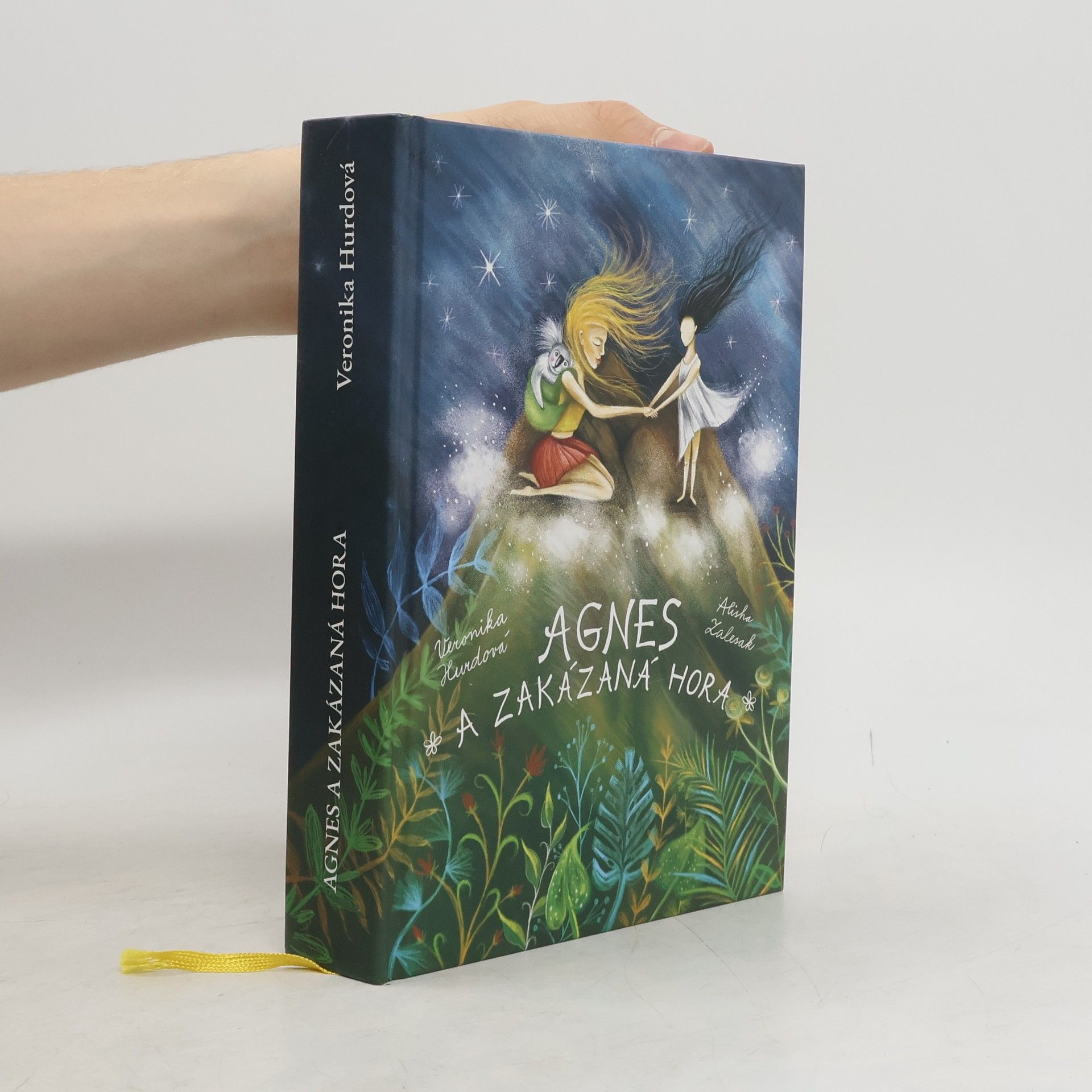 Agnes a Zakázaná hora