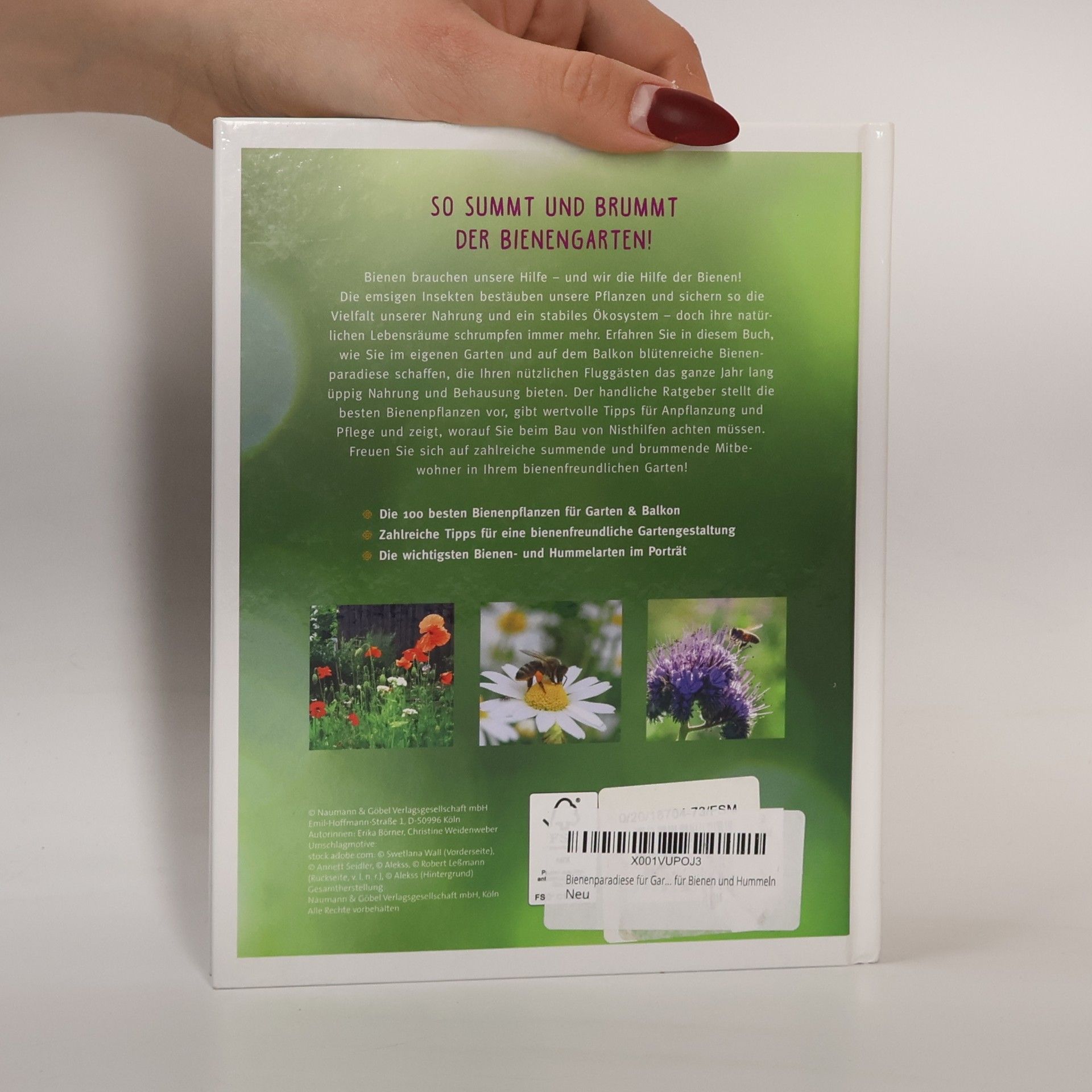 Autorenkollektiv Bienenparadies Für Garten & Balkon