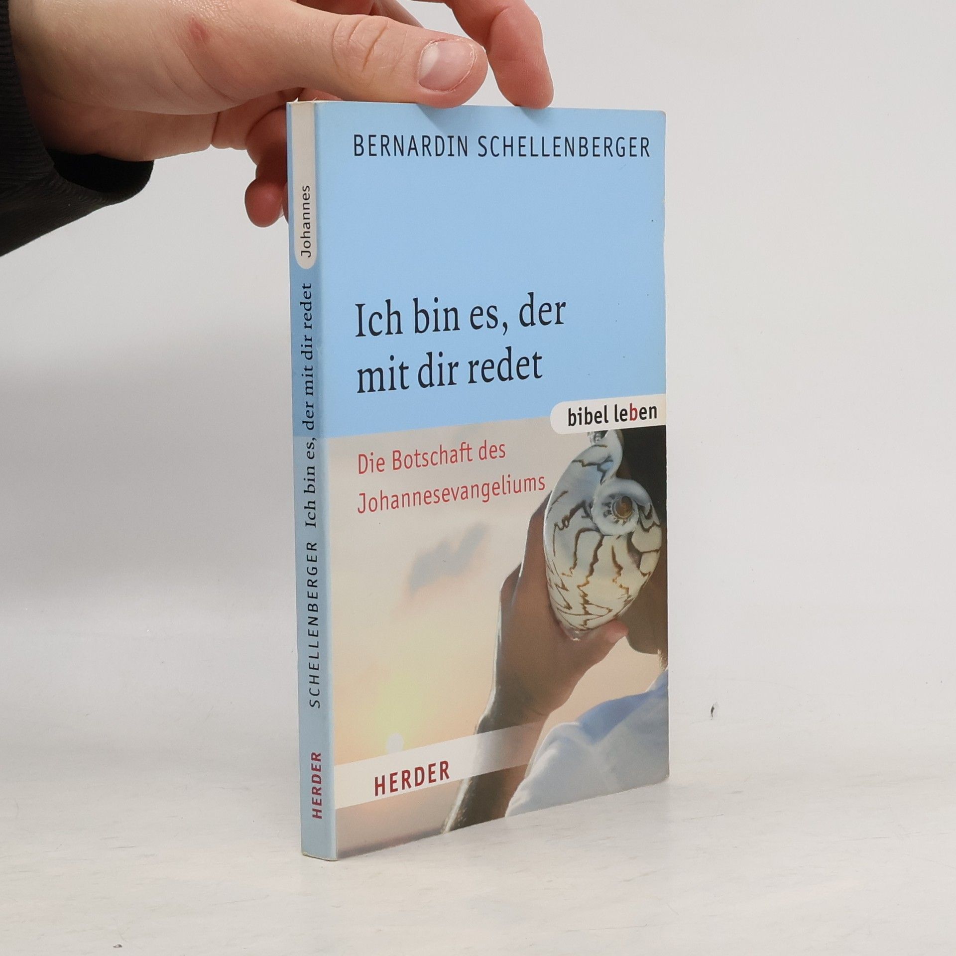 Bernardin Schellenberger Bibel leben - Johannes: Ich bin es, der mit dir redet