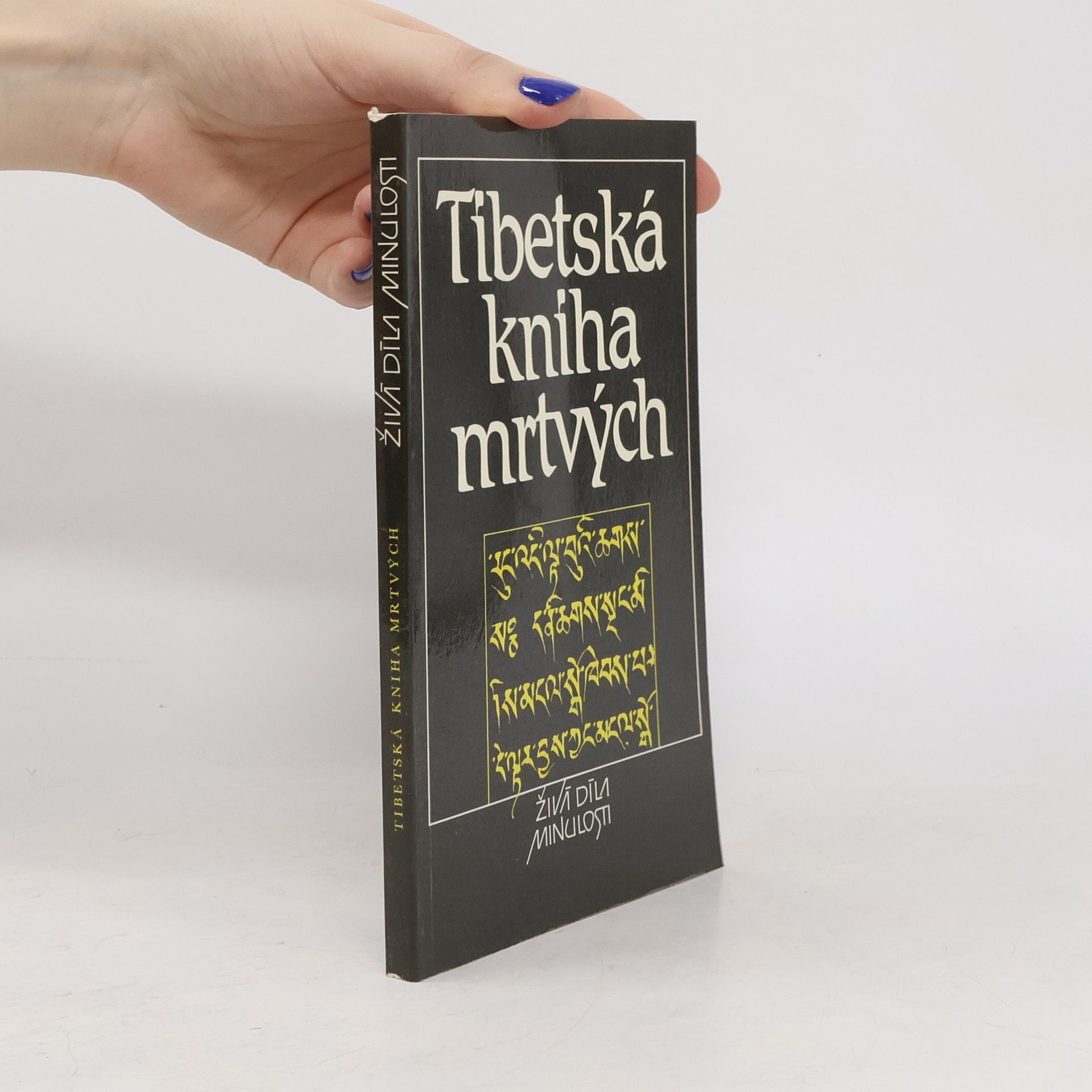 Auteurscollectief Tibetská kniha mrtvých