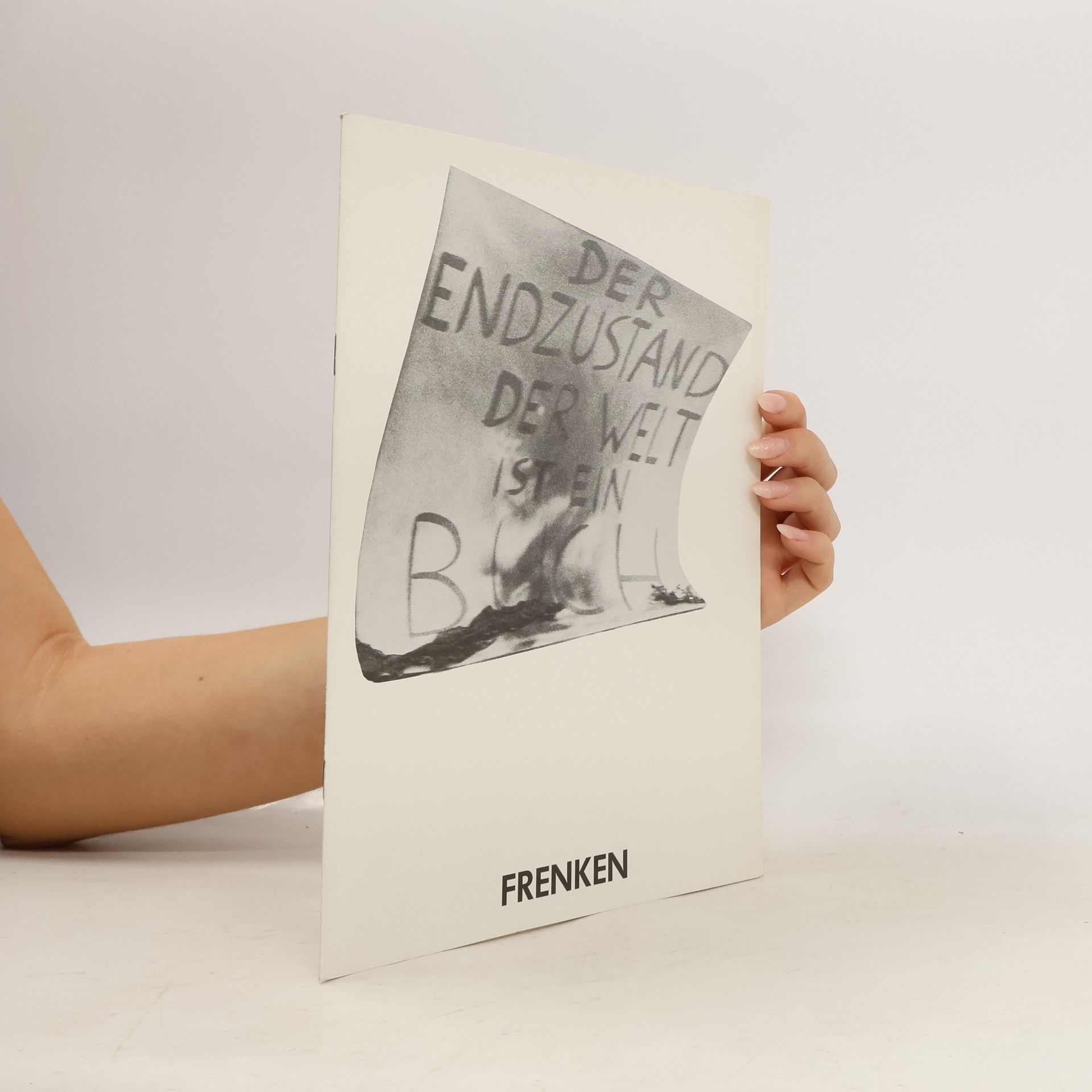 Kolektiv autorů Der Endzustand der Welt ist ein Buch