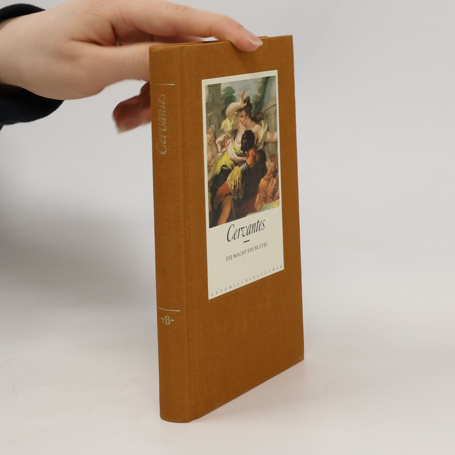 Miguel de Cervantes y Saavedra Die Macht des Blutes. Drei Erzählungen um Liebe u. Gewalt