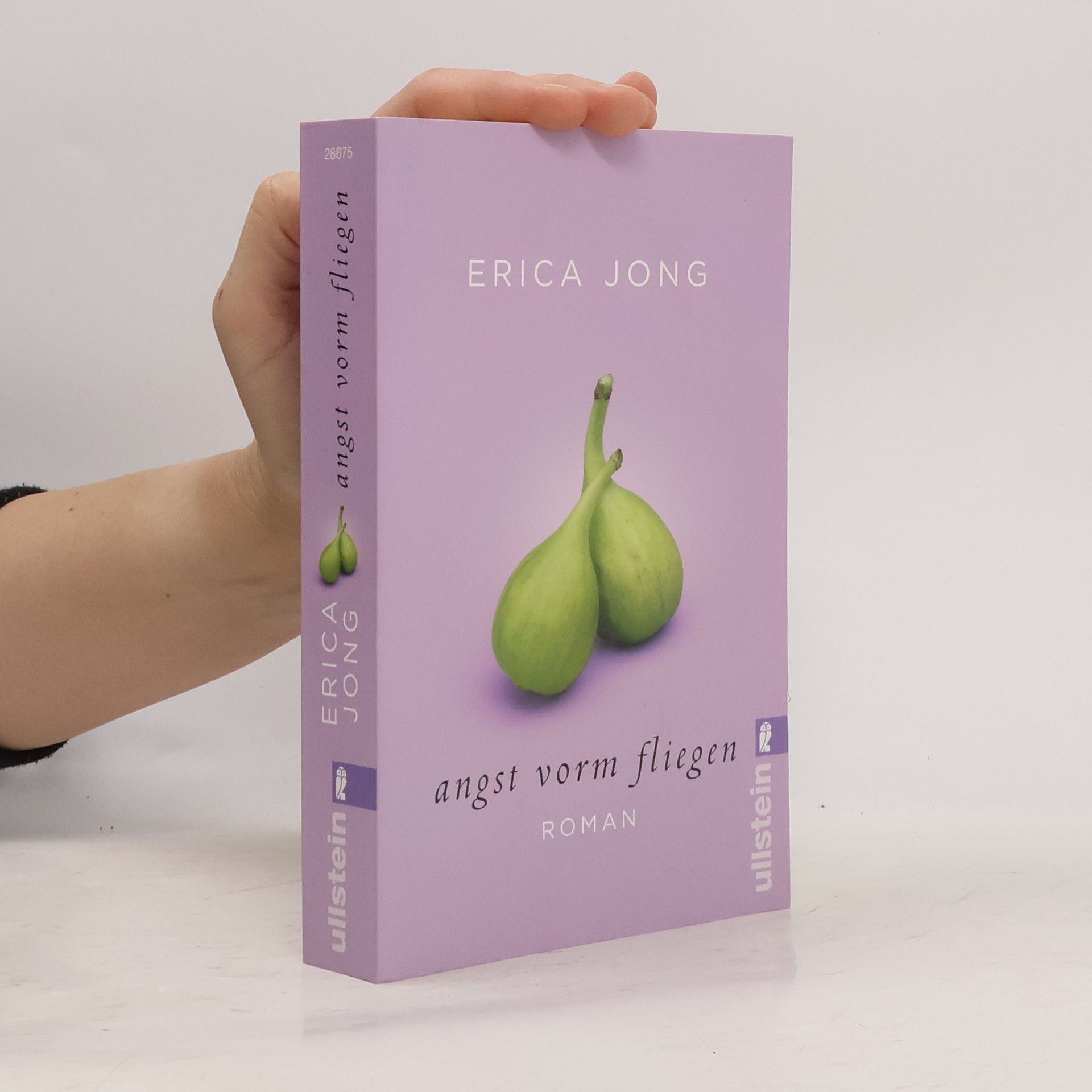 Erica Jong Angst vorm Fliegen