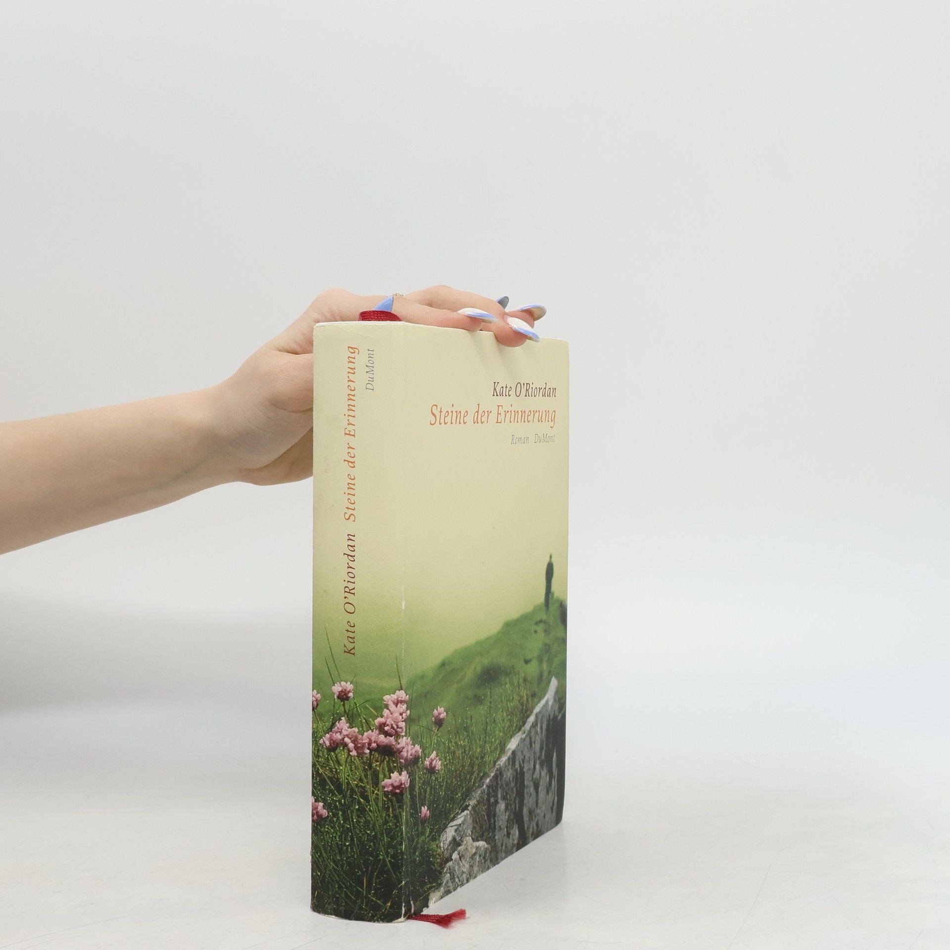 Kate O. Riordan Steine der Erinnerung