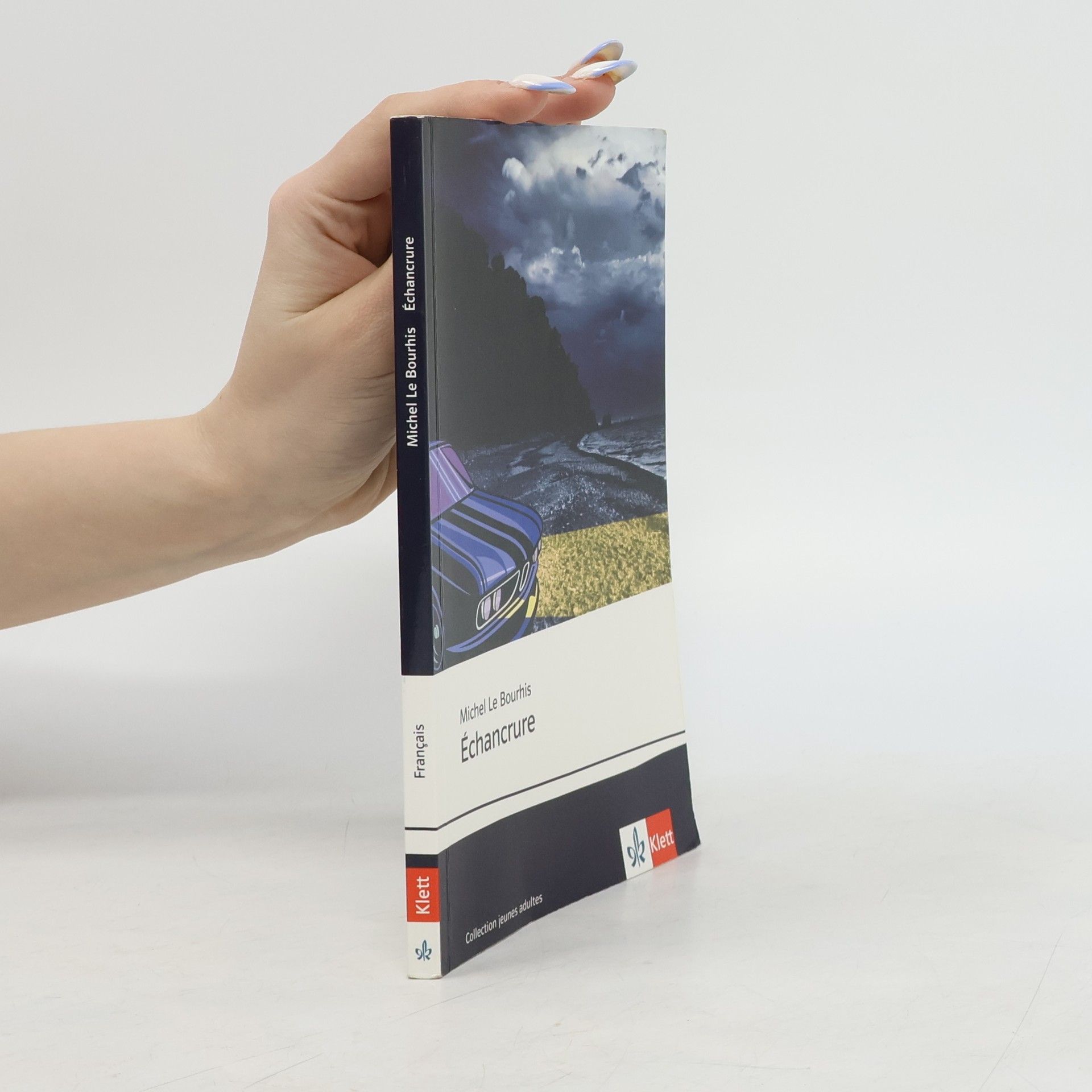 Michel Le Bourhis Échancrure