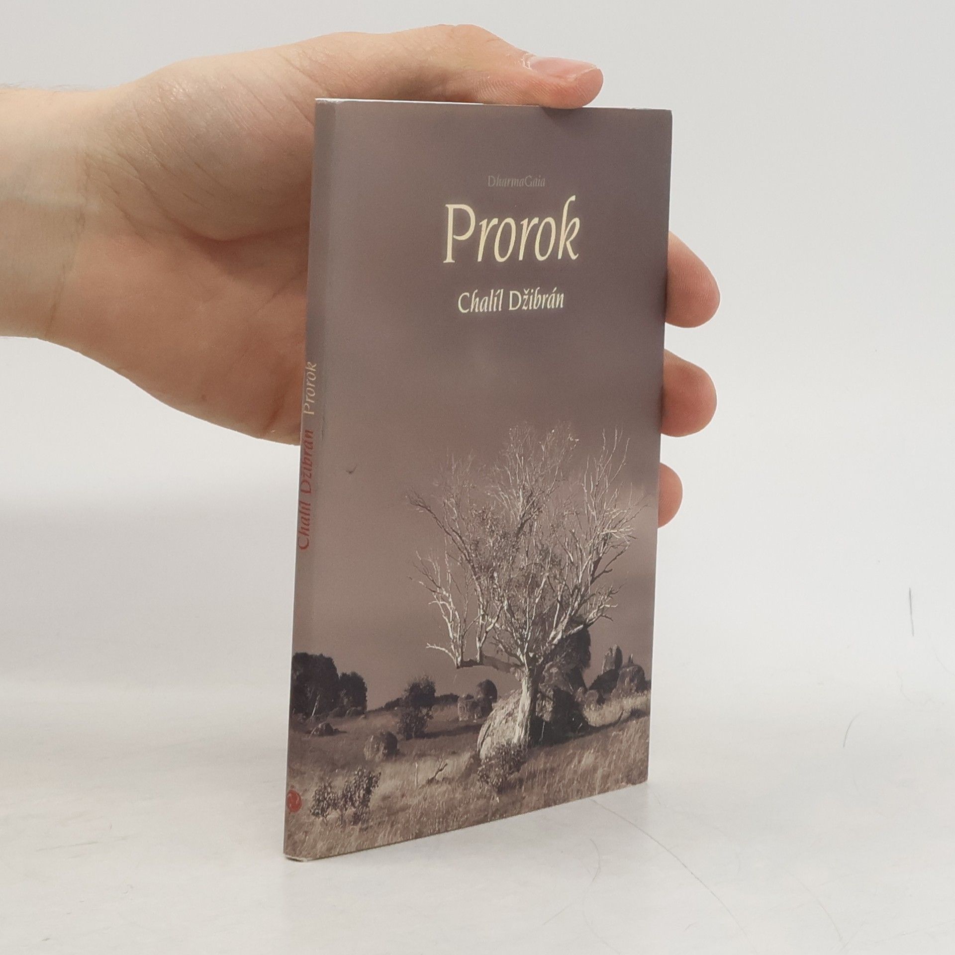 Kahlil Gibran Prorok