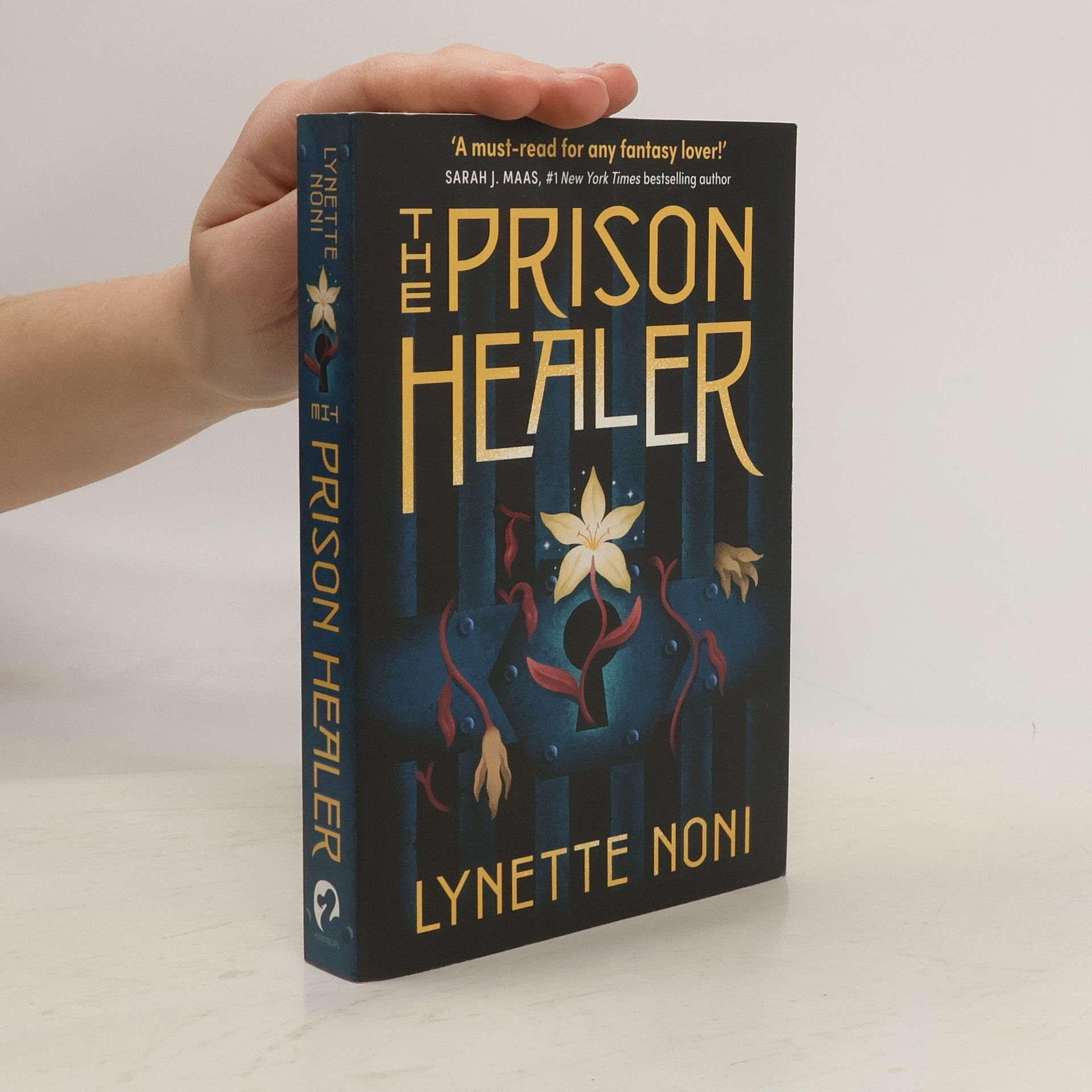 Lynette Noni The Prison Healer