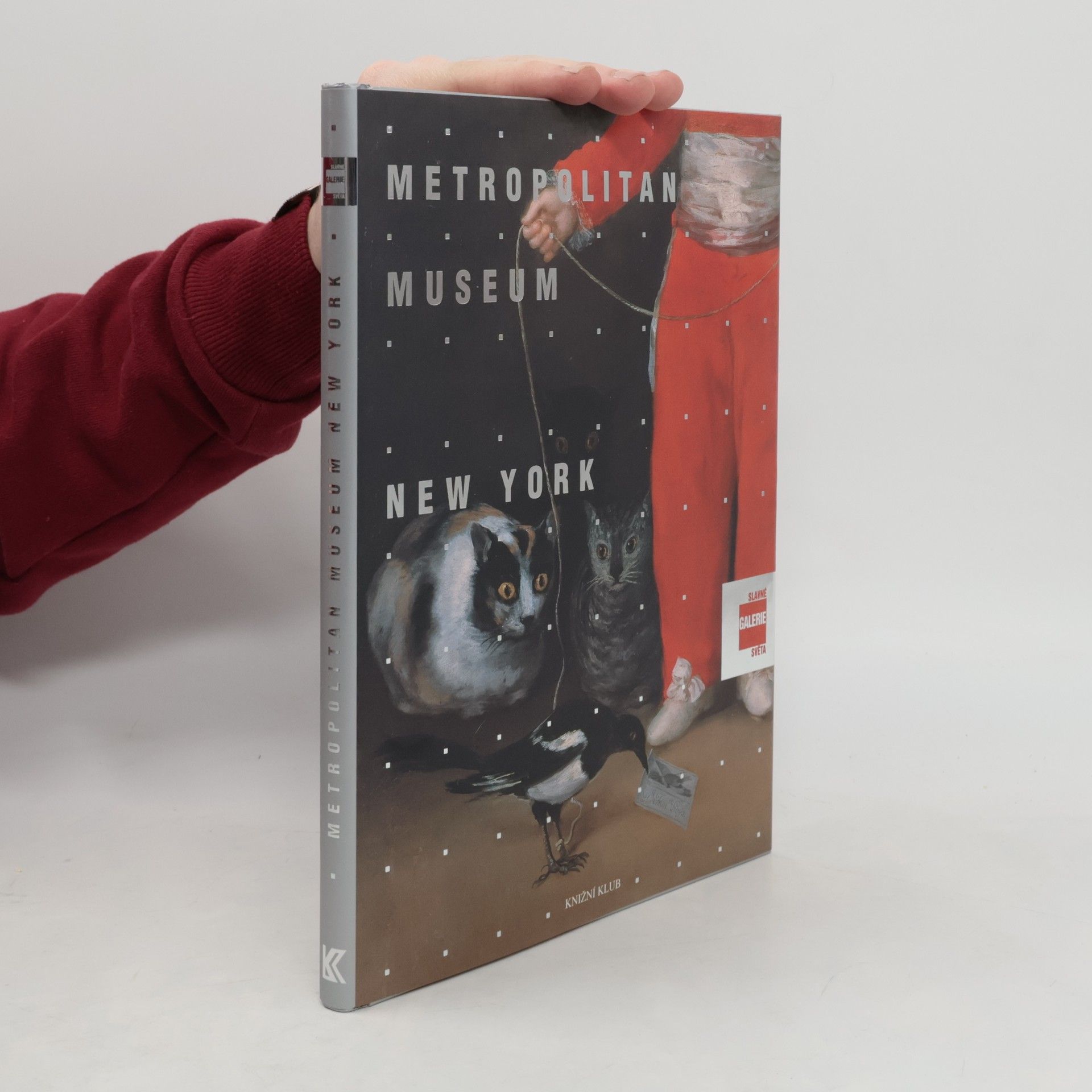 Lucia Impelluso Slavné galerie světa. Metropolitan Museum - New York