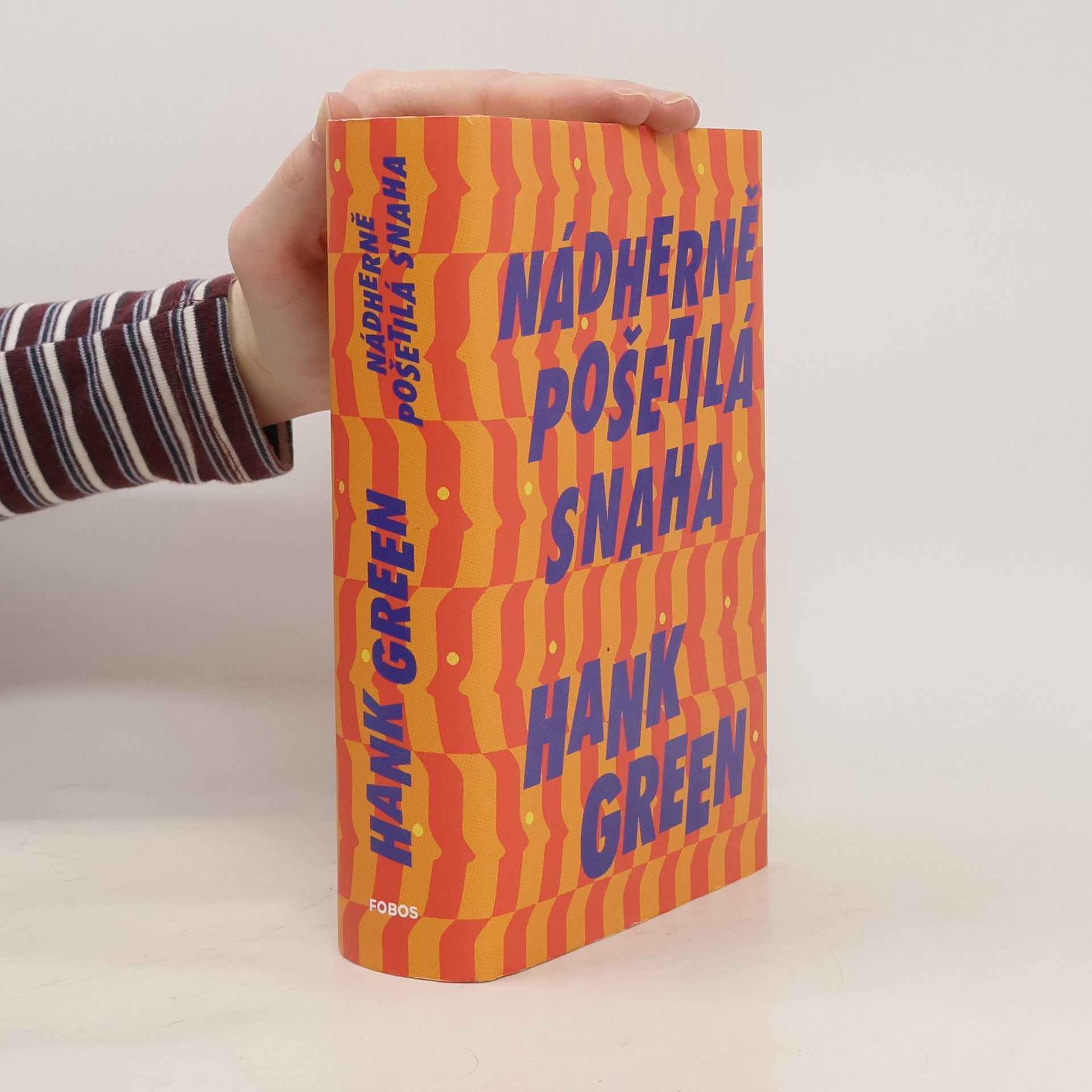 Hank Green Nádherně pošetilá snaha