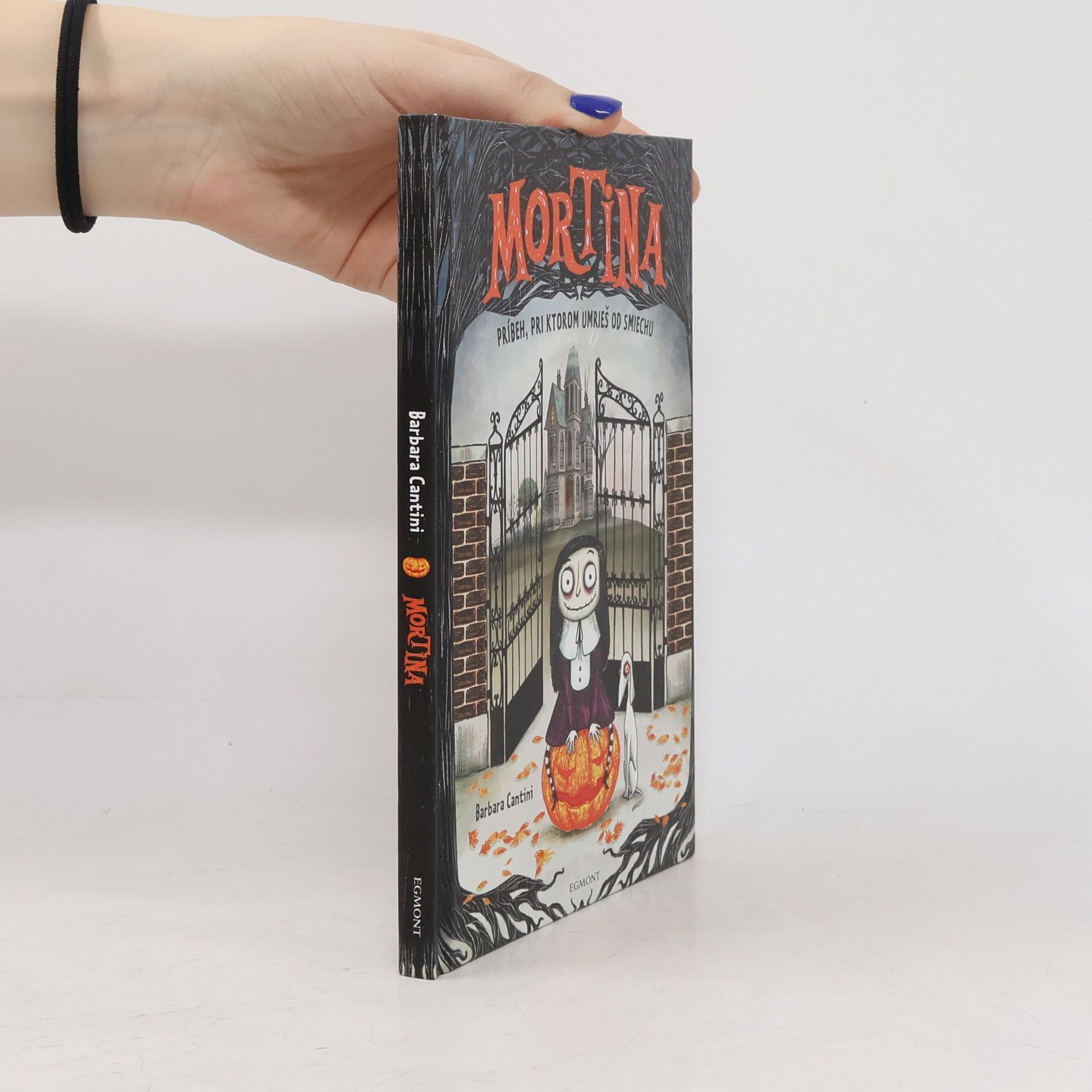 Barbara Cantini Mortina