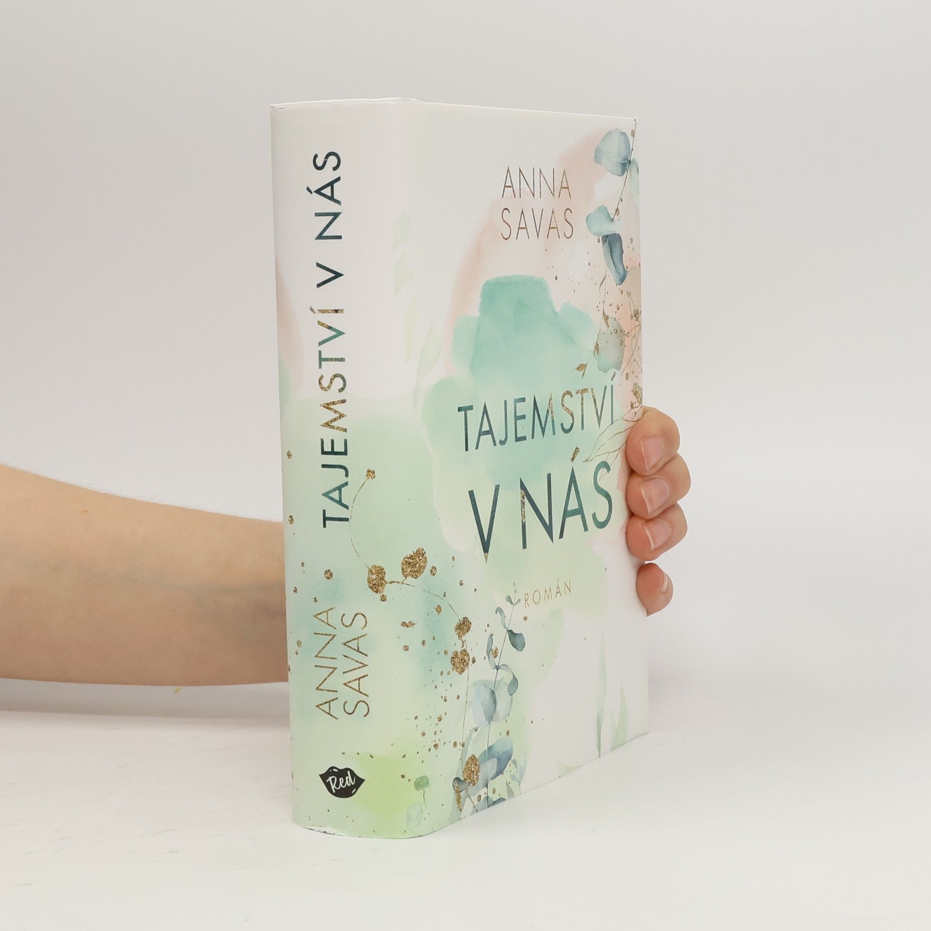 Anna Savas Tajemství v nás