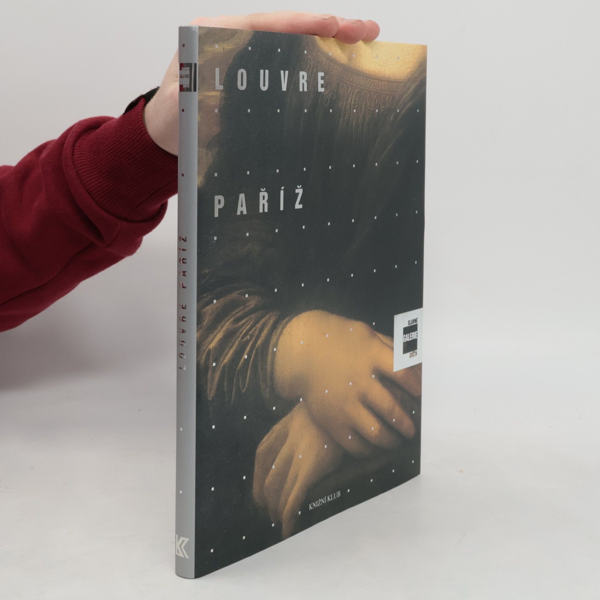 Alessandra Fregolent Slavné galerie světa. Louvre - Paříž